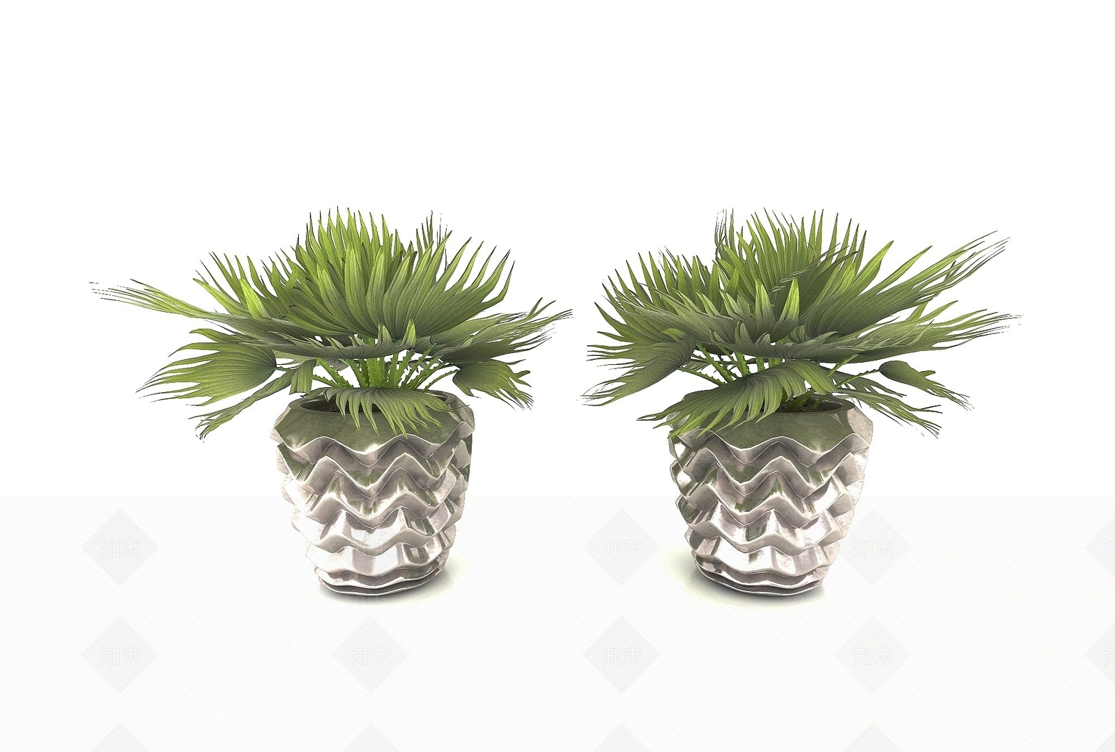 现代植物3D模型下载【ID:1193684376】