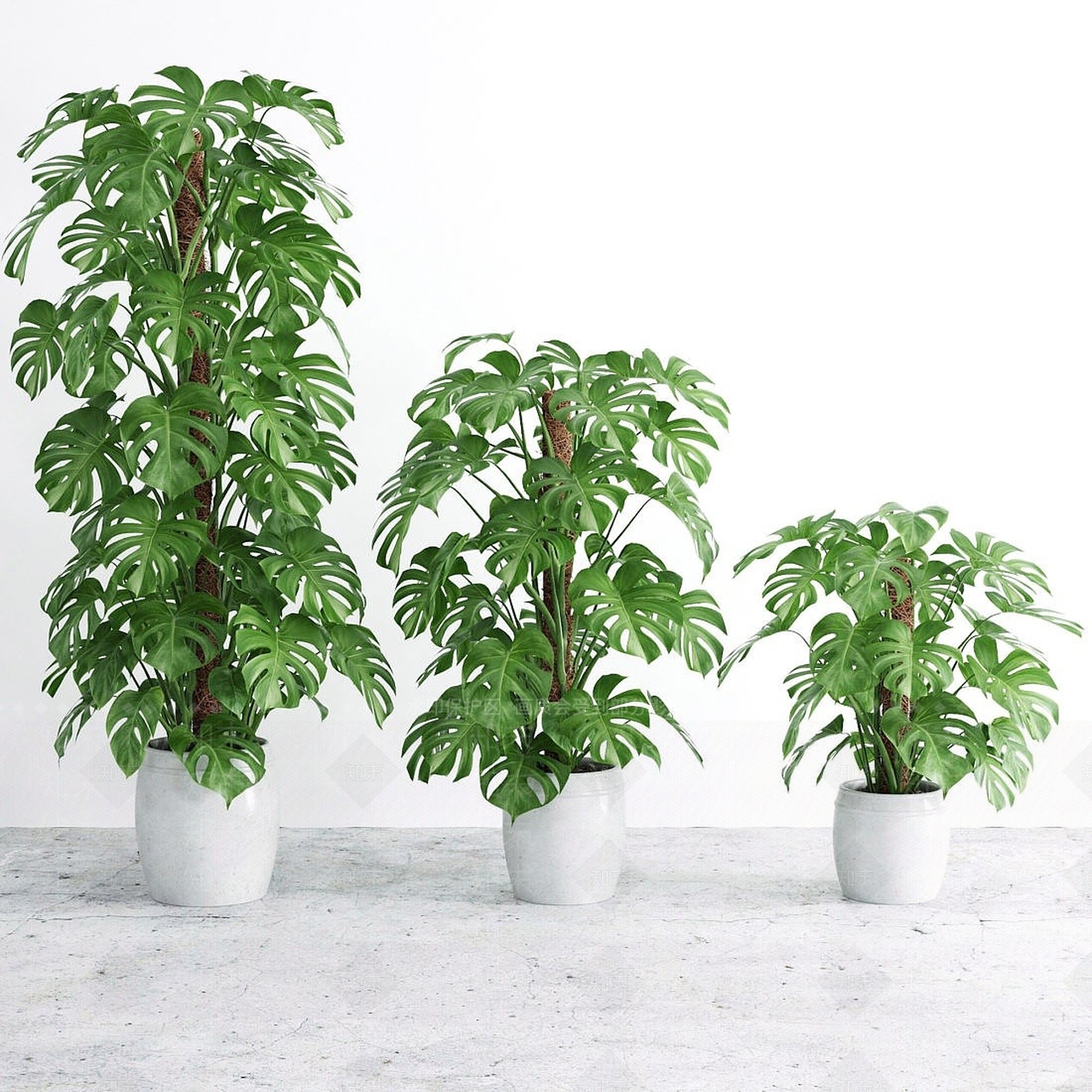 现代植物盆栽3D模型下载【ID:1193685922】