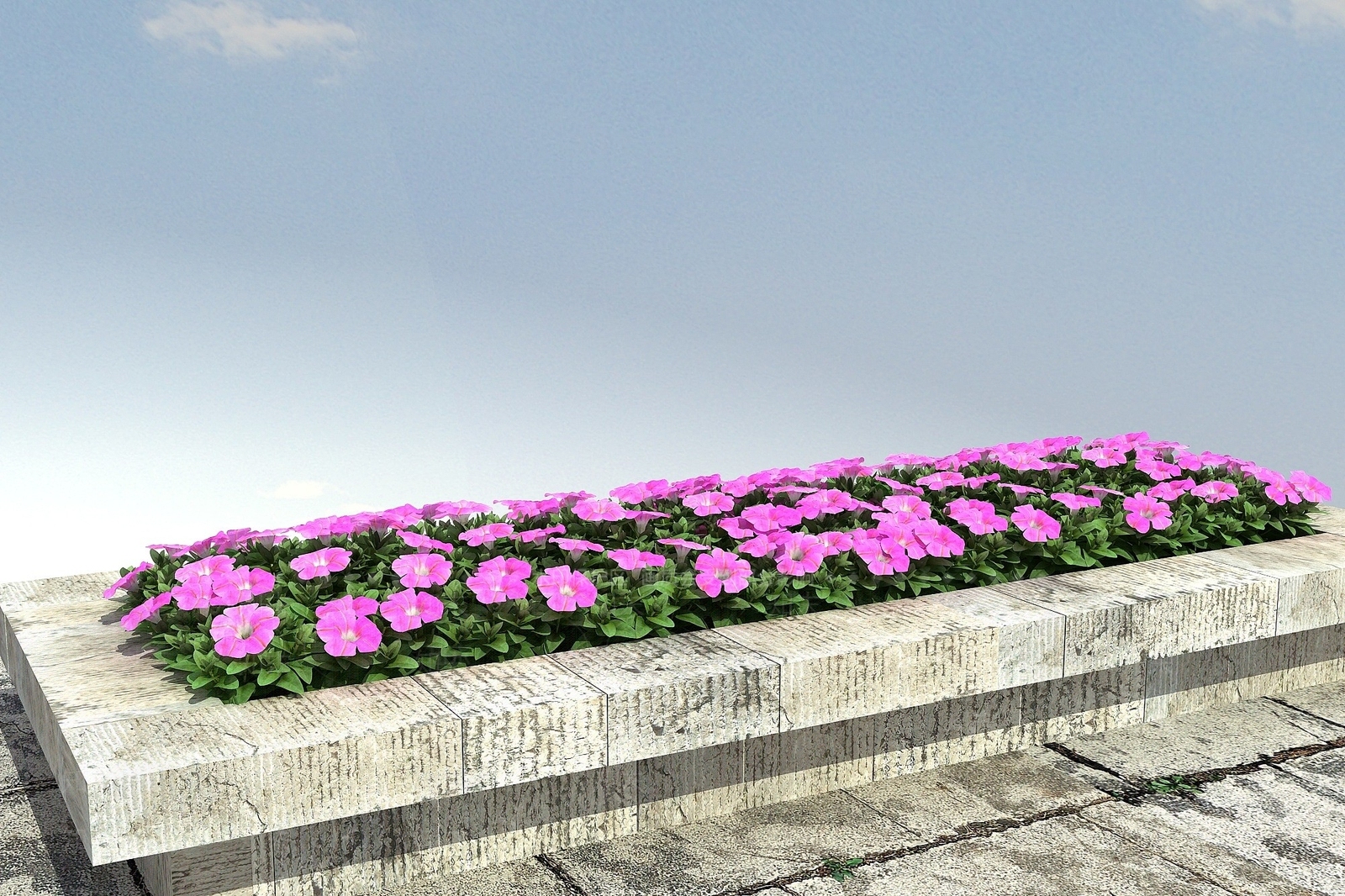 现代矮牵牛牵牛花3D模型下载【ID:1193686477】