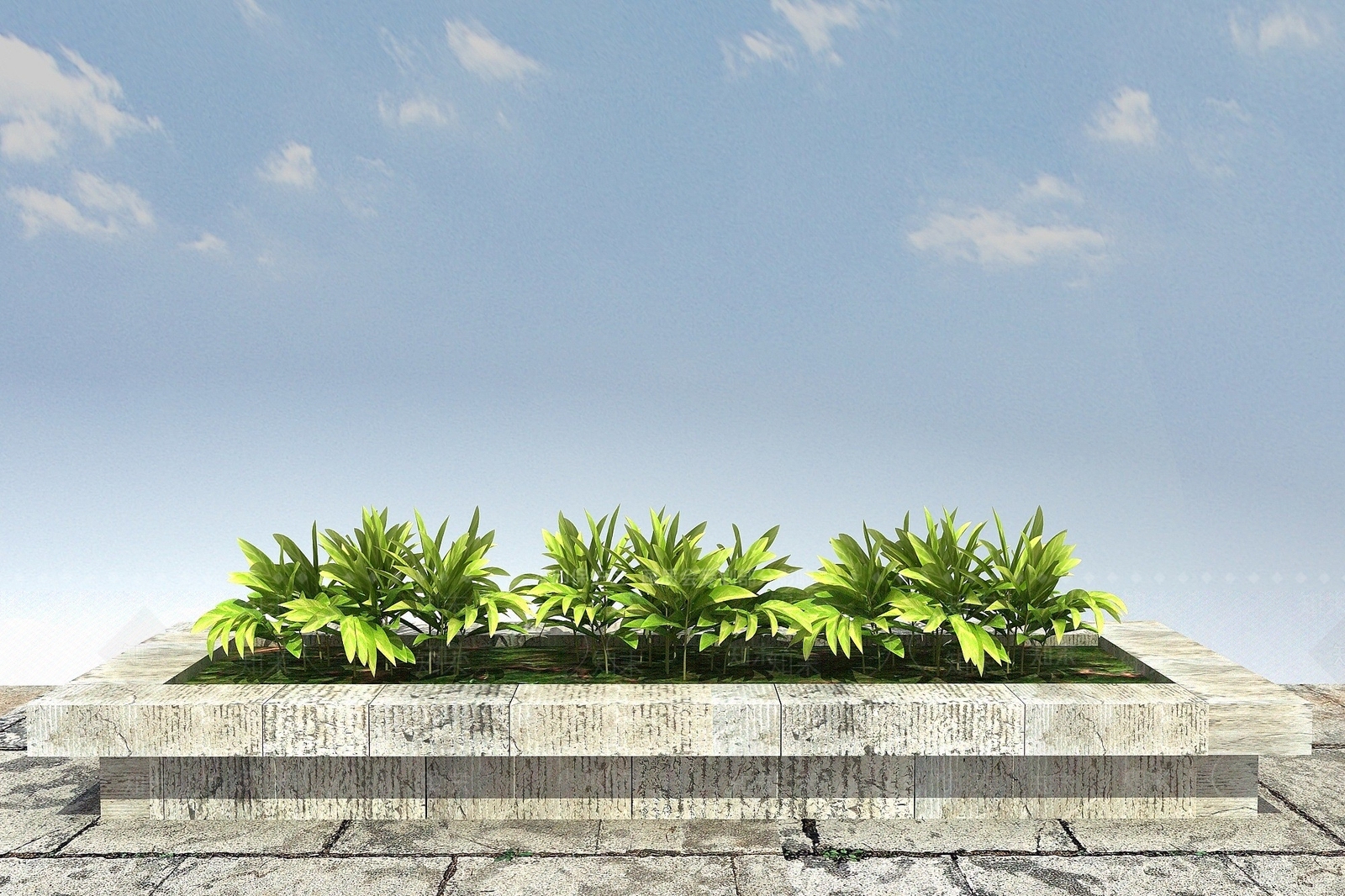 现代花叶良姜3D模型下载【ID:1193691727】