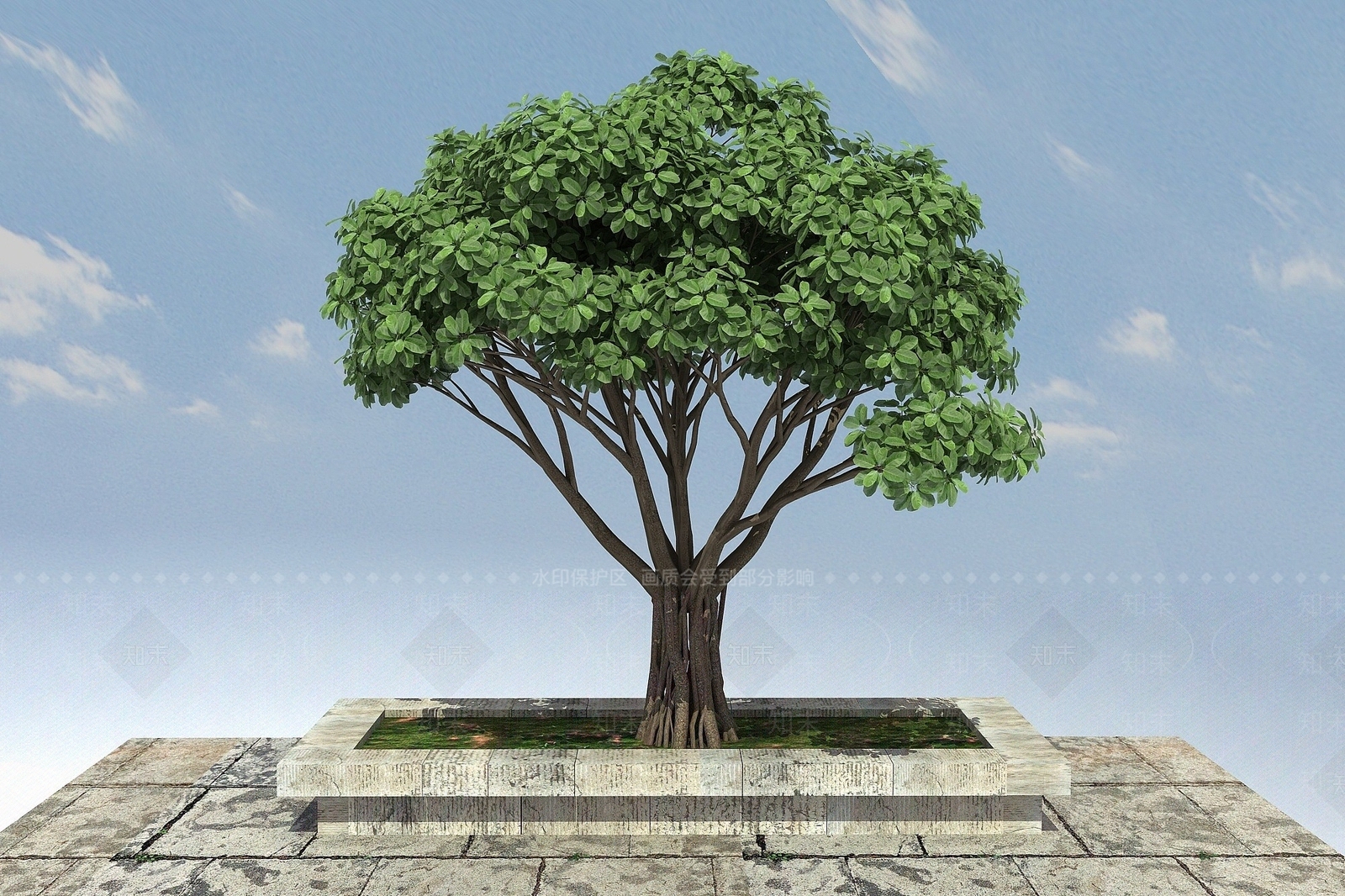 现代虎克榕景观植物3D模型下载【ID:1193695245】