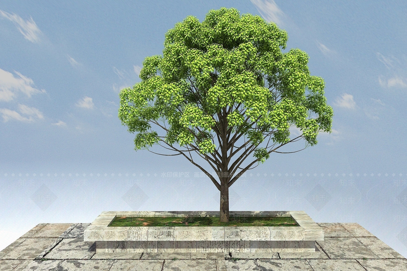 现代小叶樟景观植物3D模型下载【ID:1193695579】