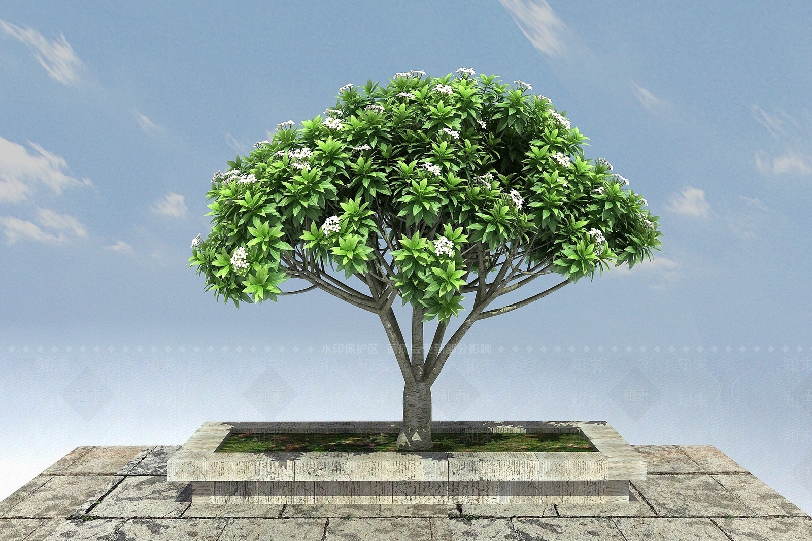 现代鸡蛋花3D模型下载【ID:1193698676】