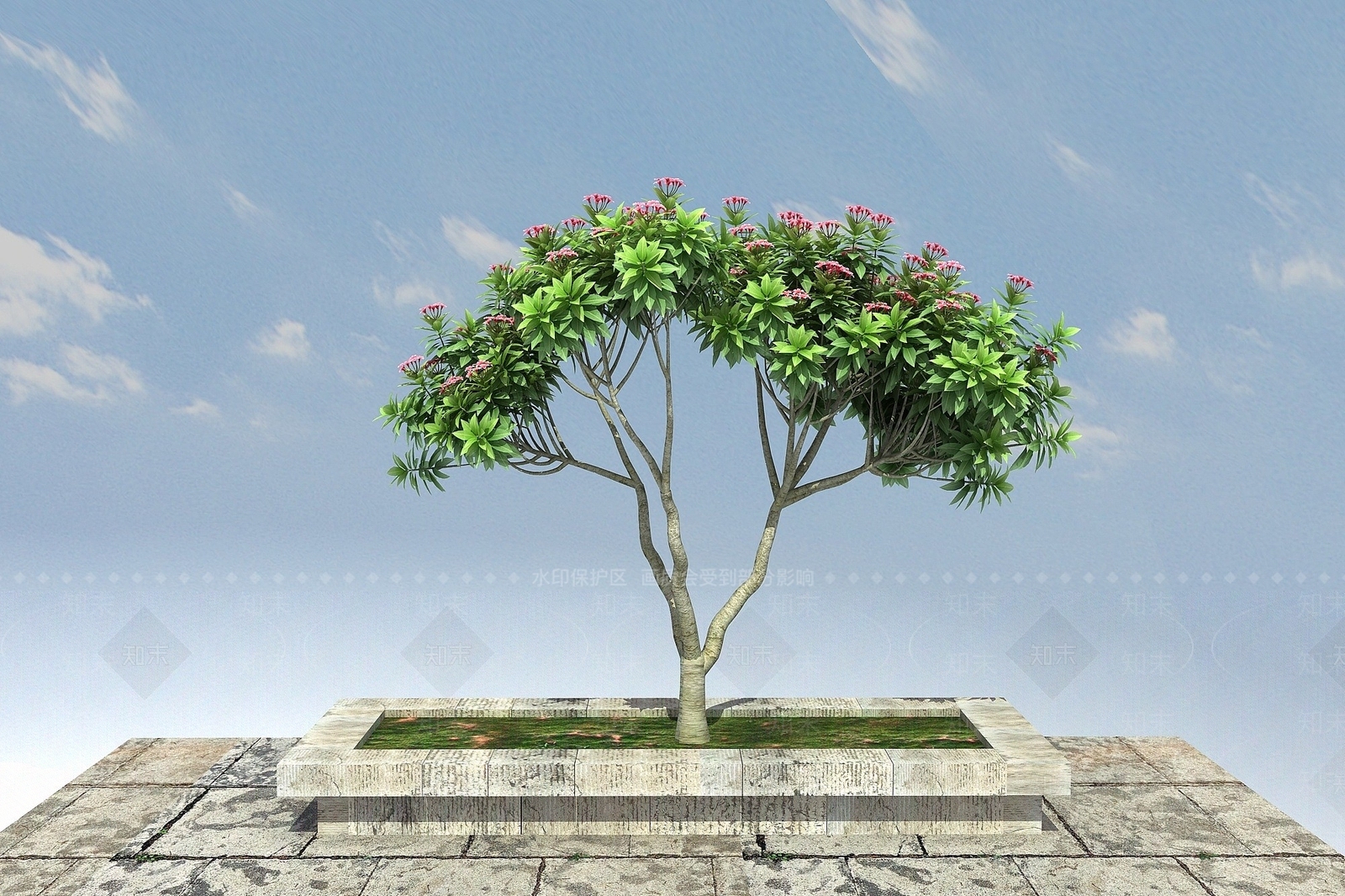 现代鸡蛋花3D模型下载【ID:1193698712】