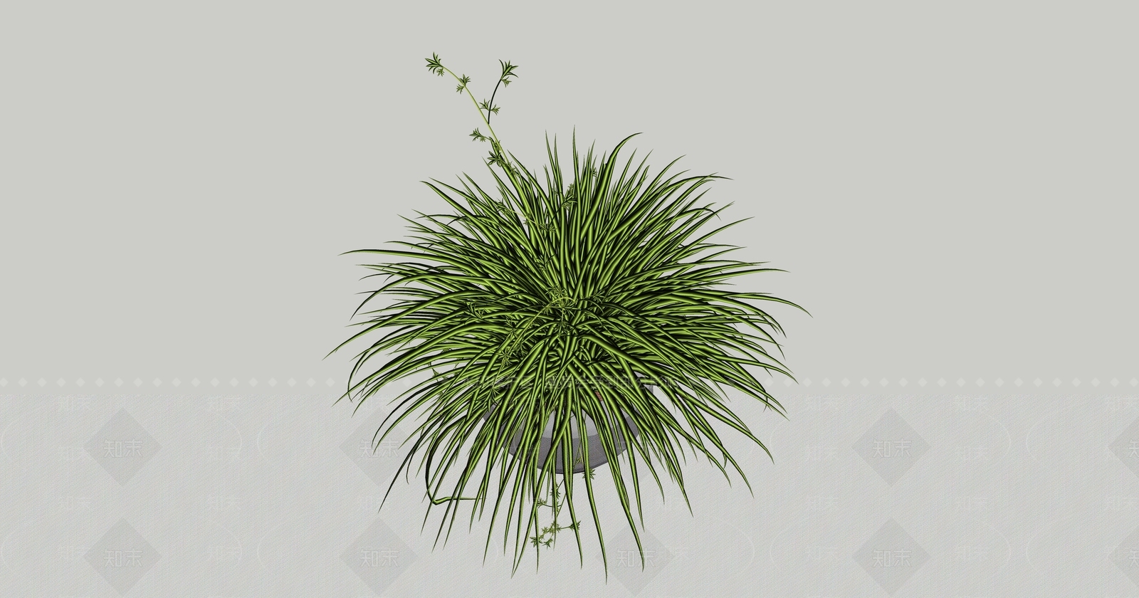 花草SU模型下载【ID:1193723117】