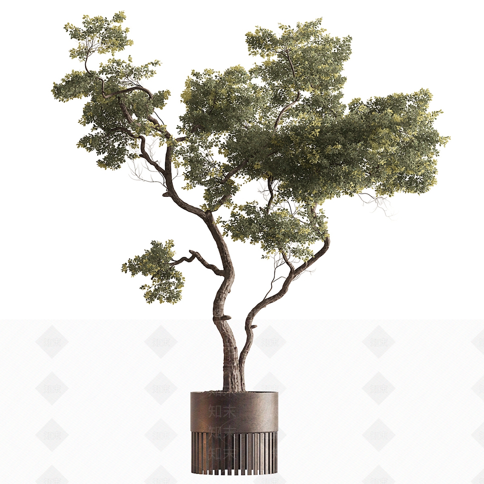 盆栽3D模型下载【ID:1193738192】