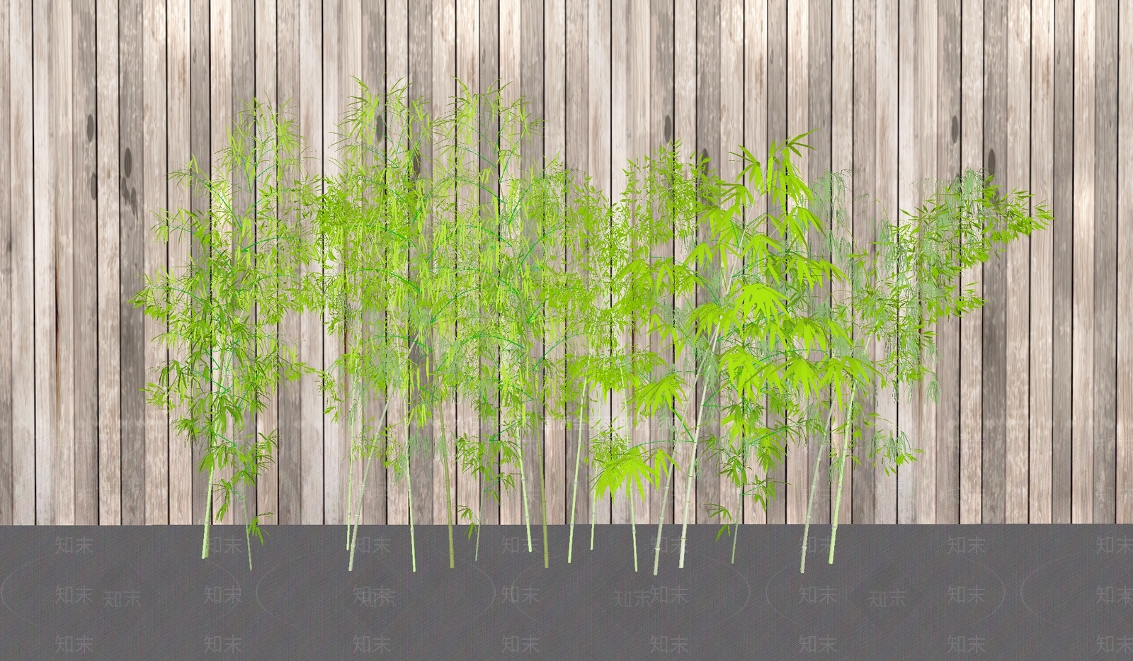 竹子SU模型下载【ID:1193748266】
