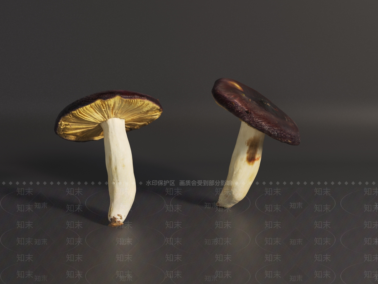 农作物3D模型下载【ID:1193764741】