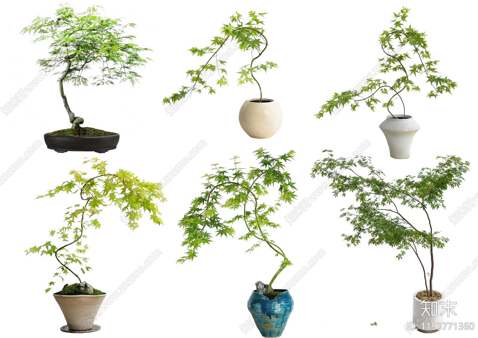 盆栽设计素材精品下载_知末网