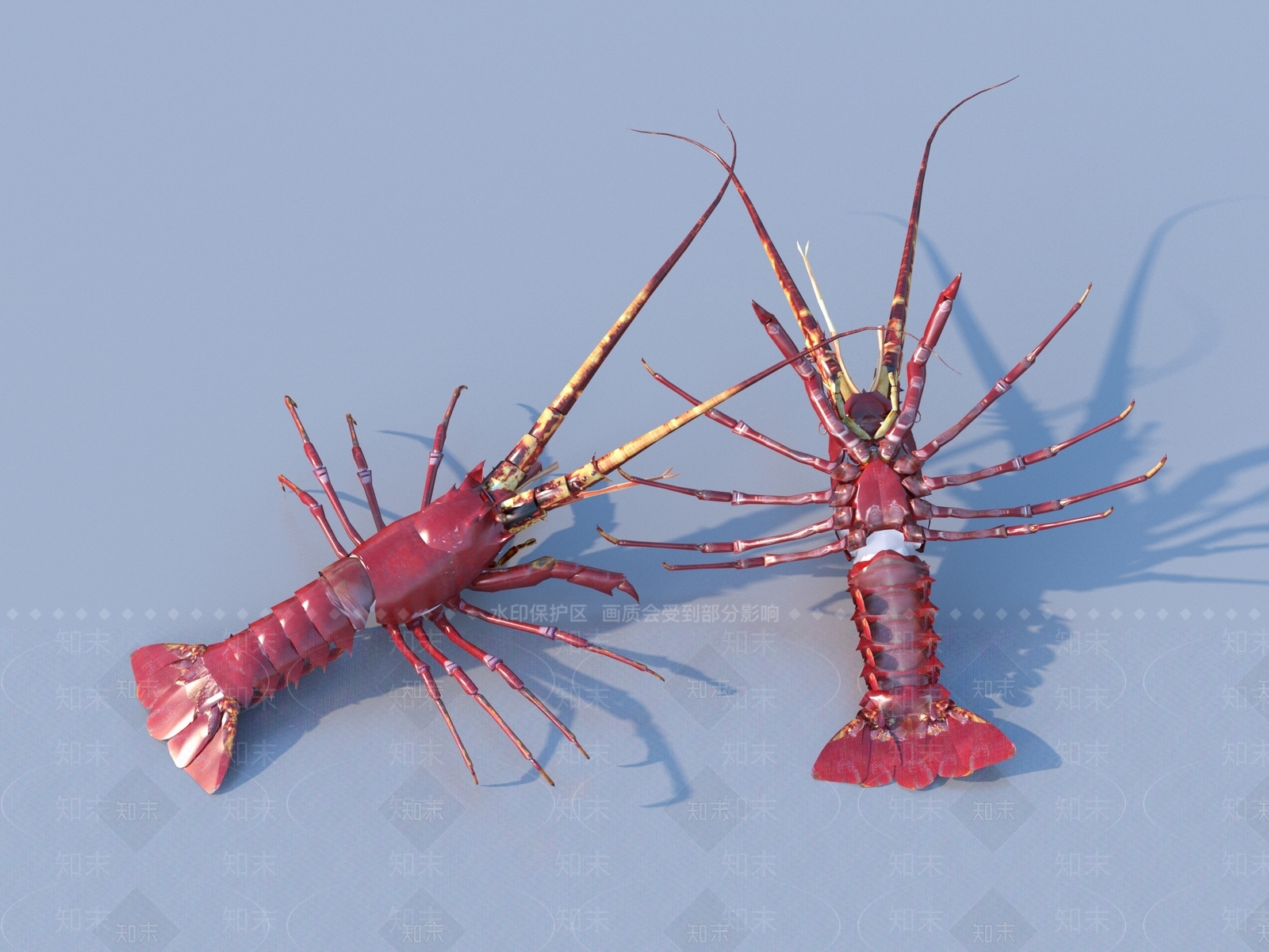 水生类动物3D模型下载【ID:1193824330】