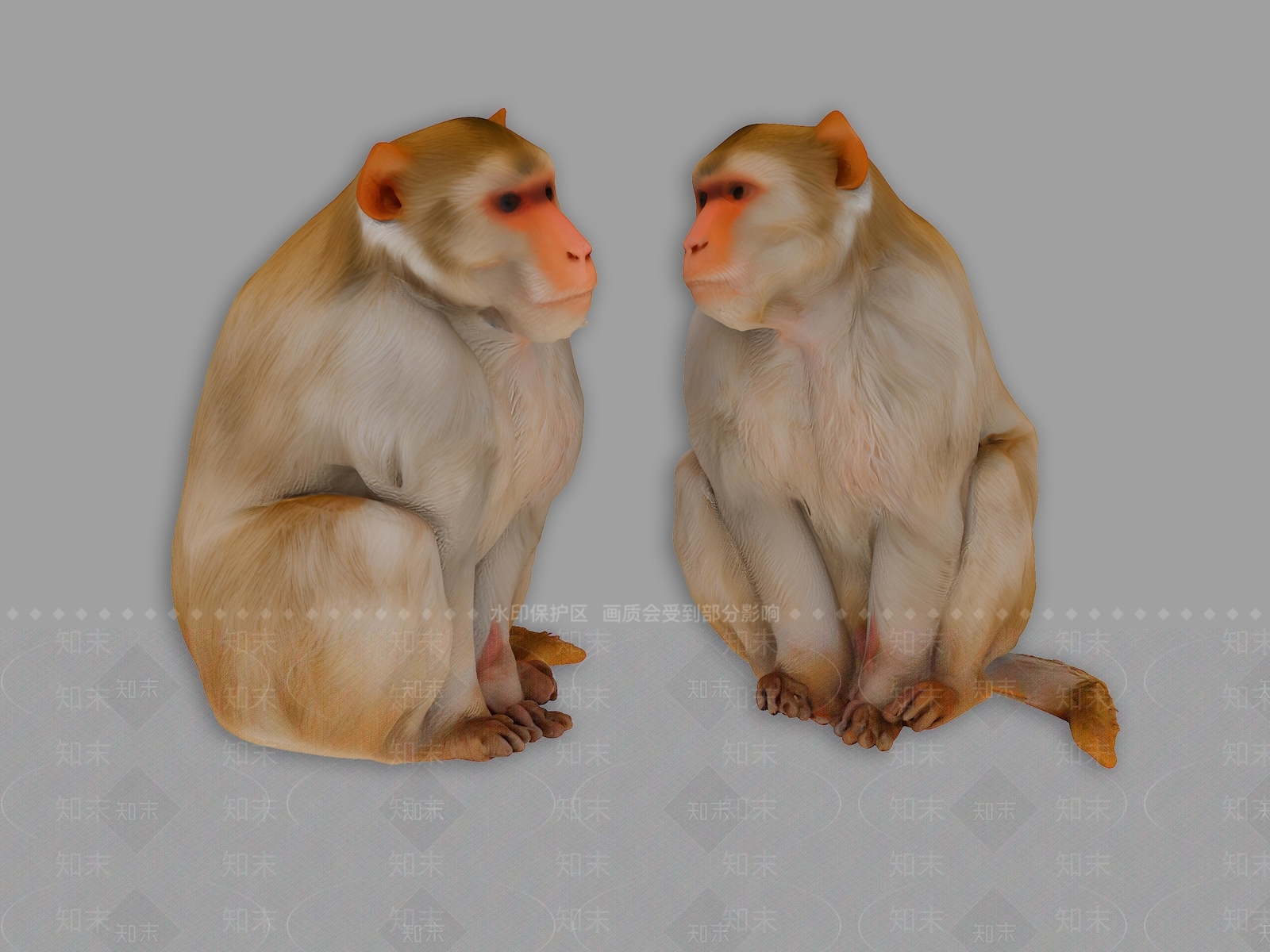 爬行类动物3D模型下载【ID:1193847600】
