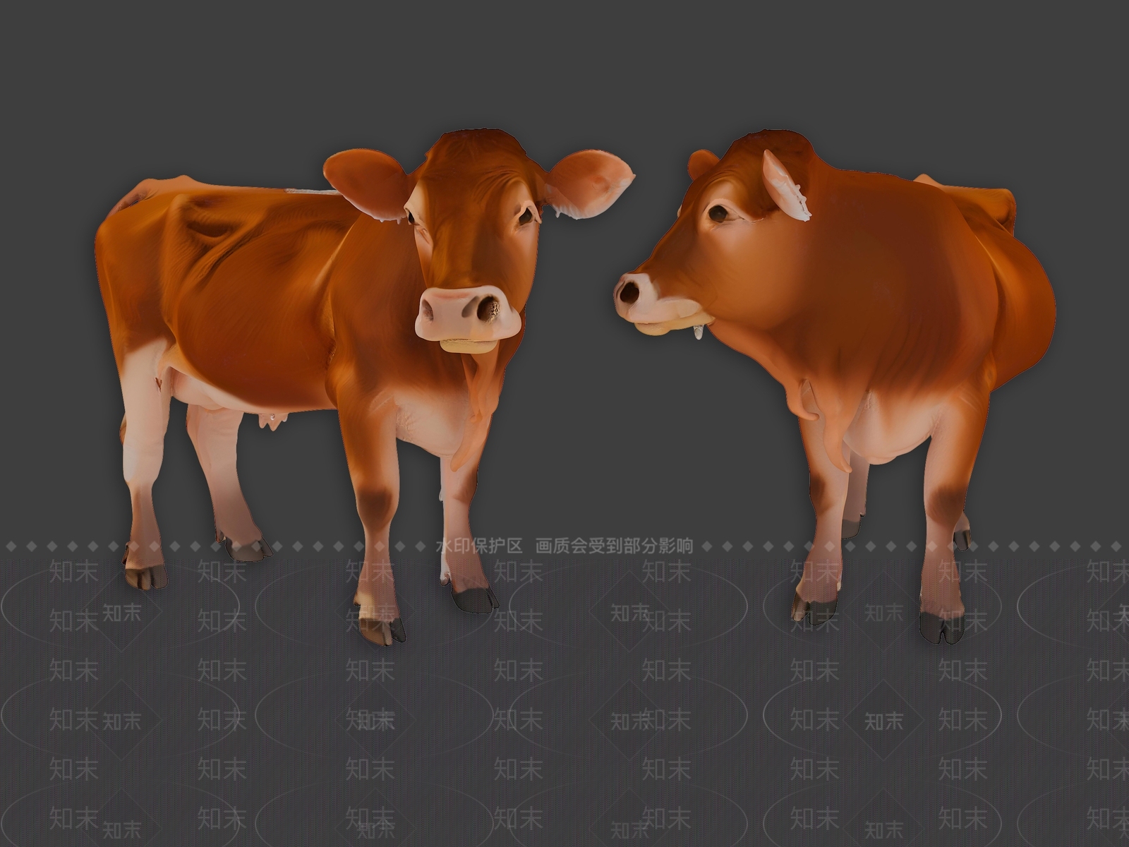 家禽动物SU模型下载【ID:1193847940】