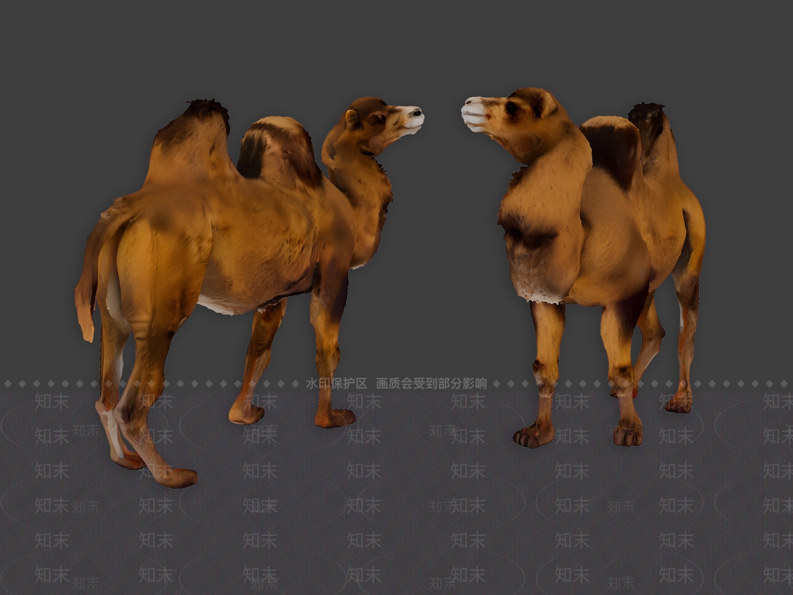 爬行动物SU模型下载【ID:1193848048】