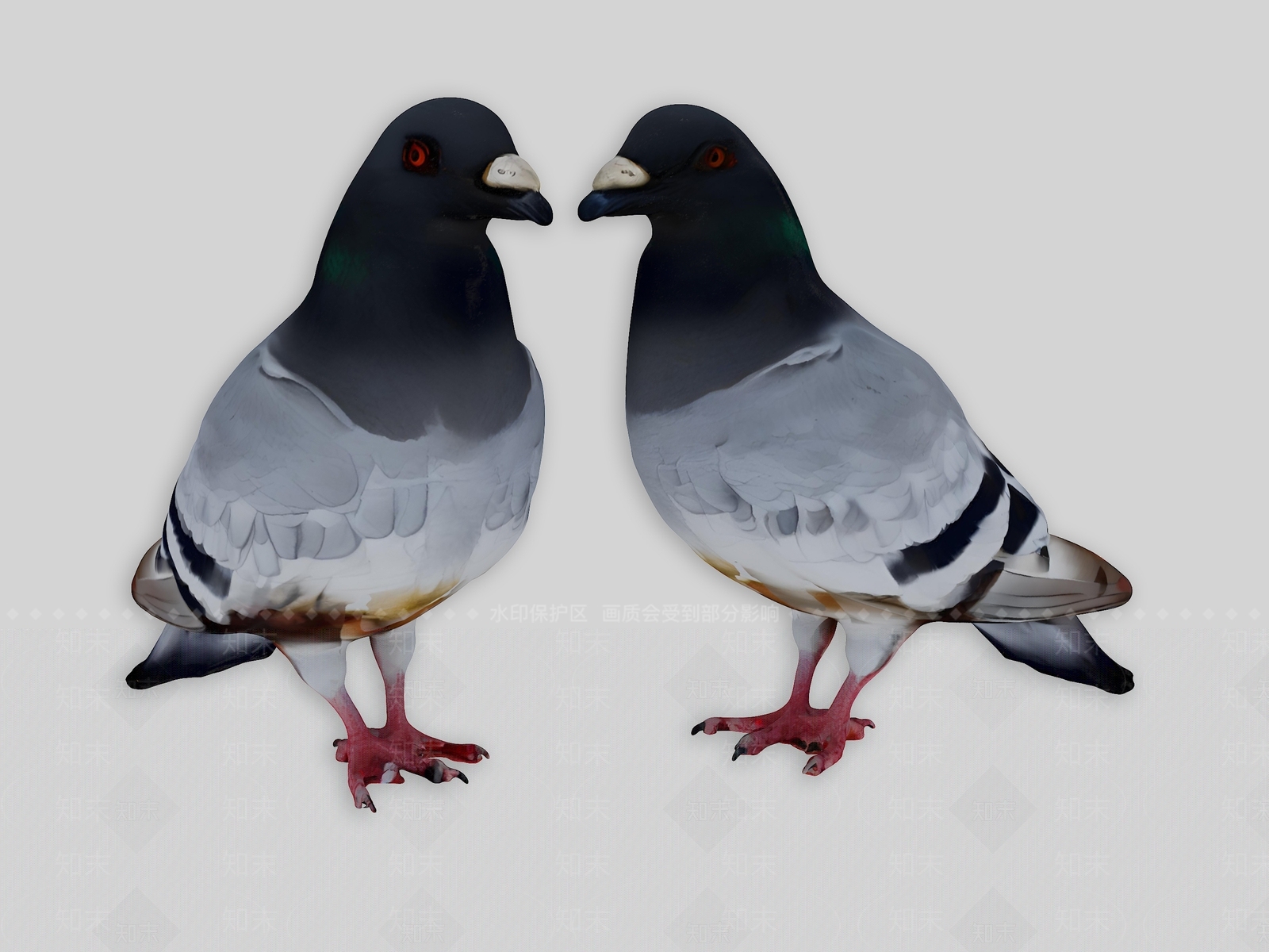 飞行类动物3D模型下载【ID:1193848183】