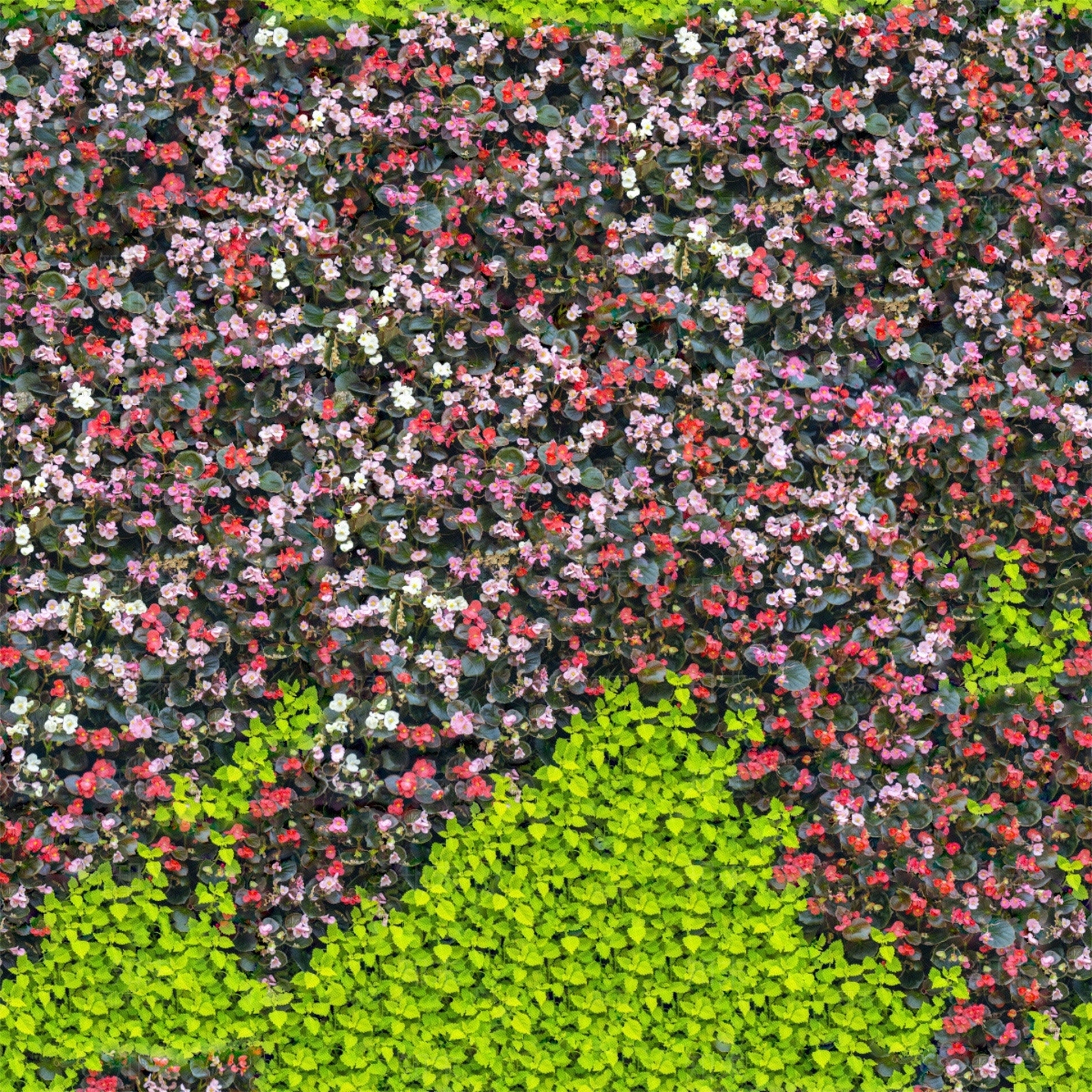 现代自然地面贴图下载【ID:1193877037】