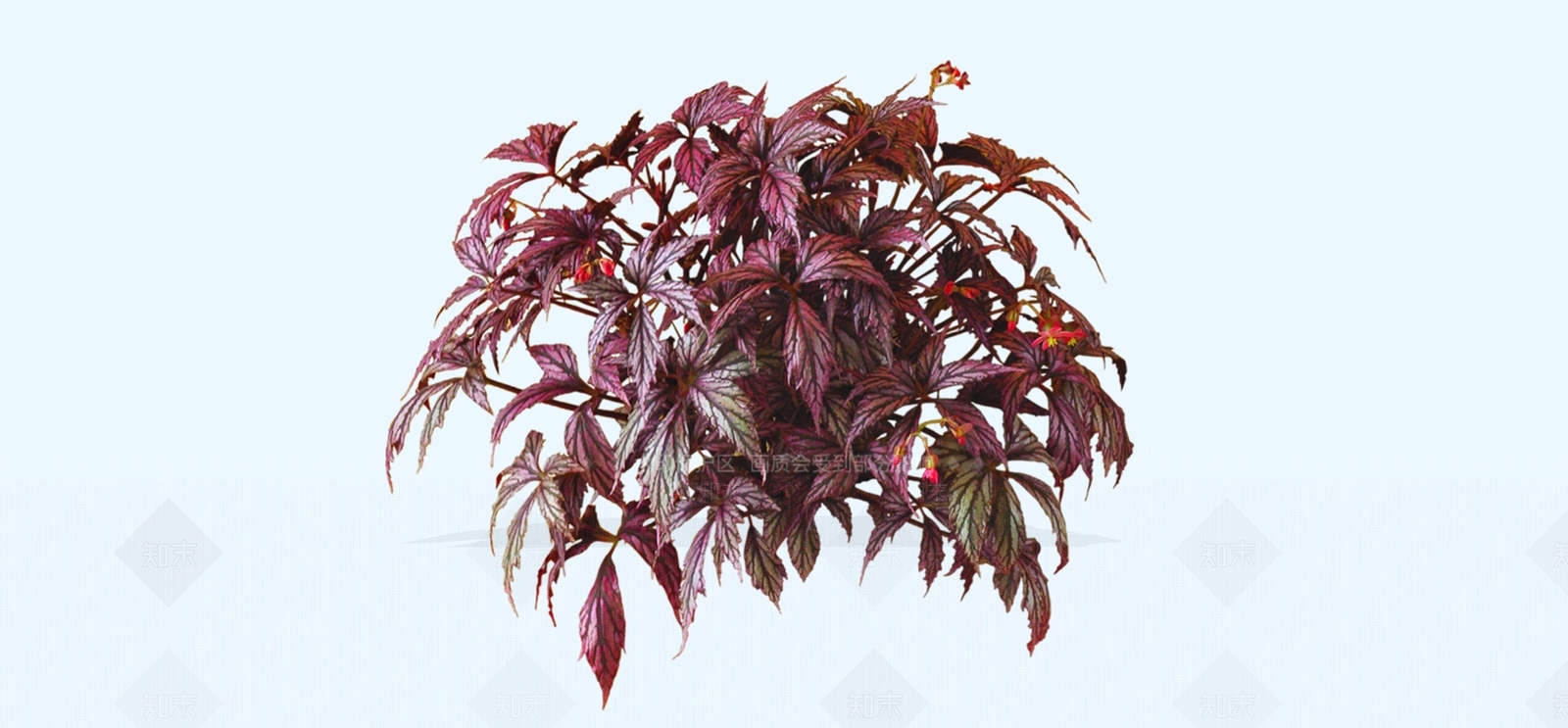 灌木SU模型下载【ID:1193890152】