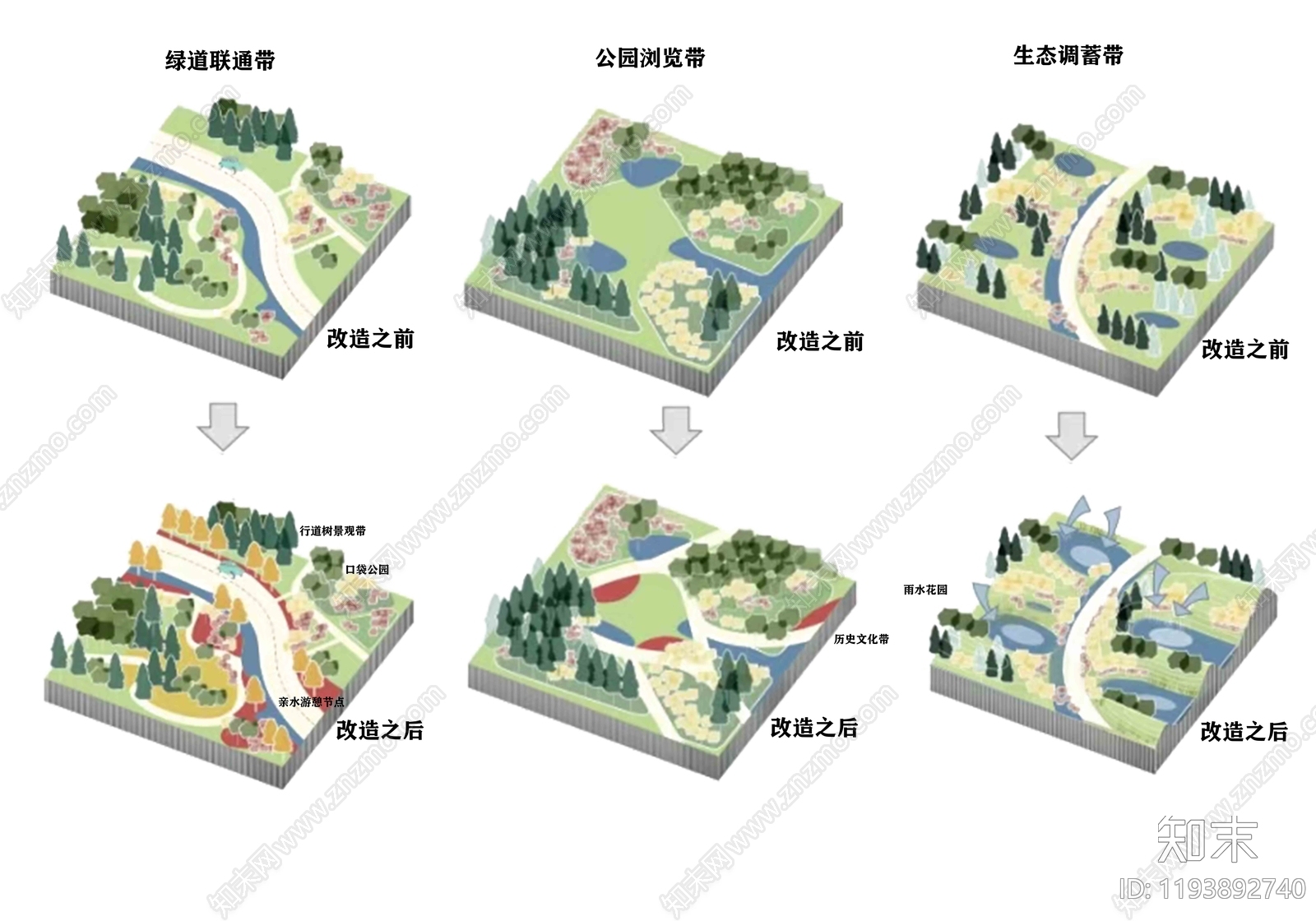 植物分析图设计素材精品下载_知末网