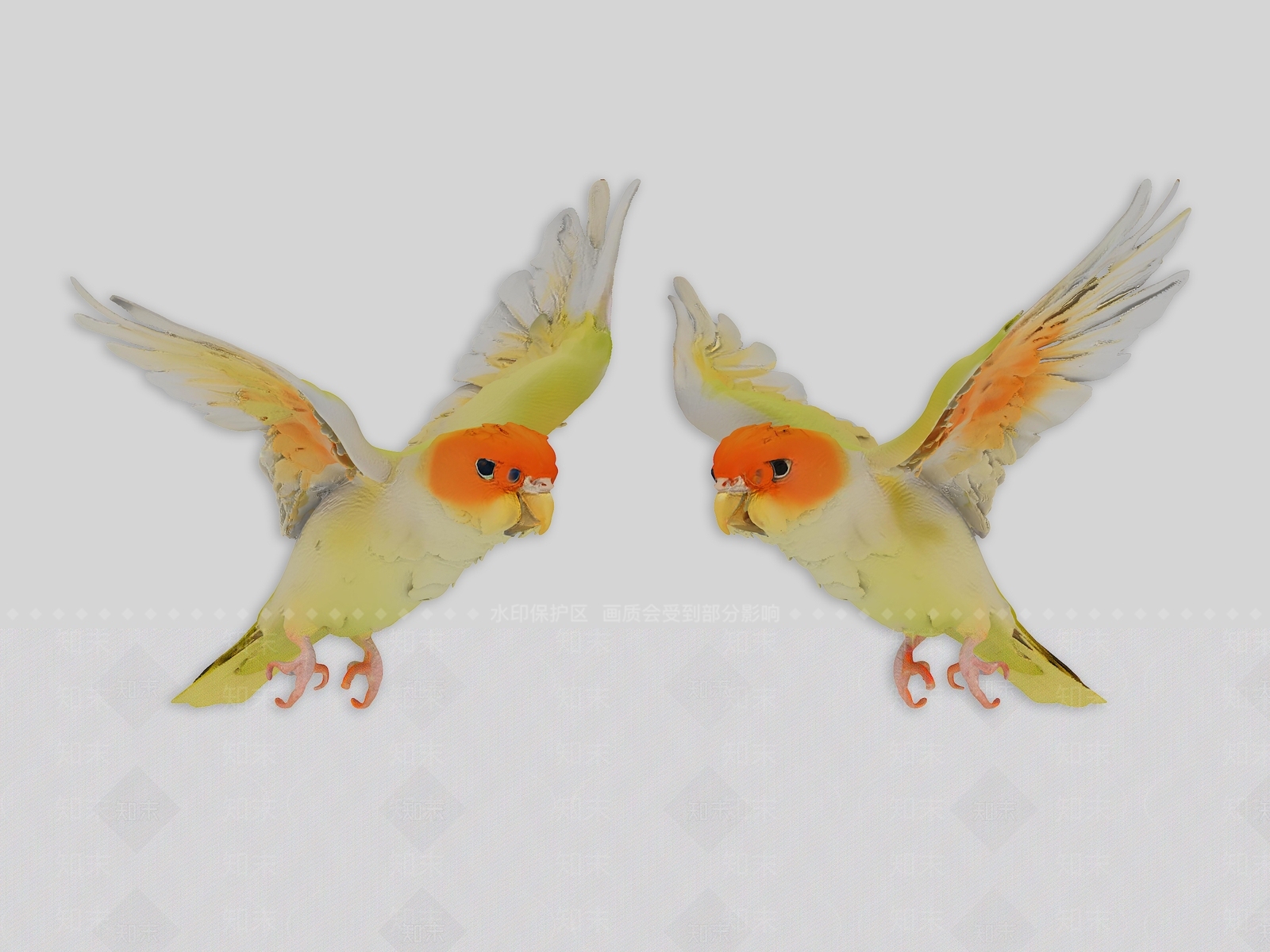 飞行类动物3D模型下载【ID:1193897167】