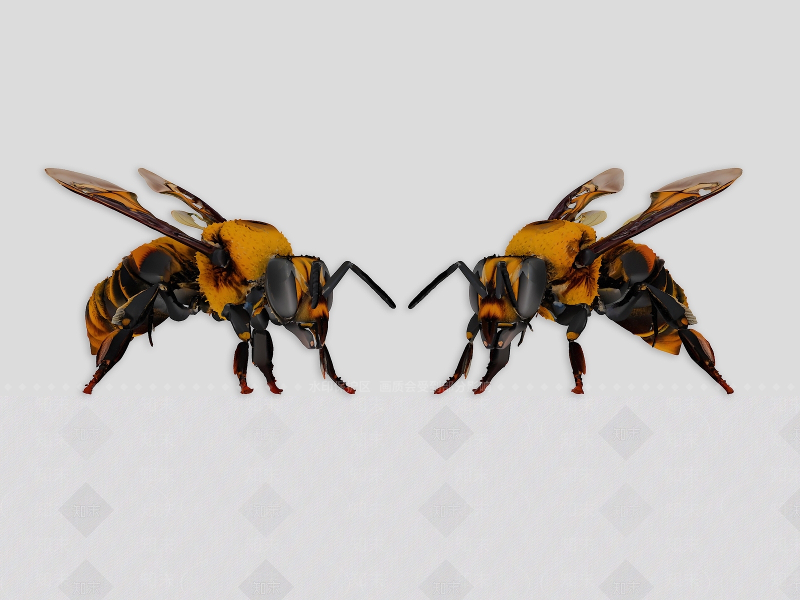 飞行类动物3D模型下载【ID:1193897697】