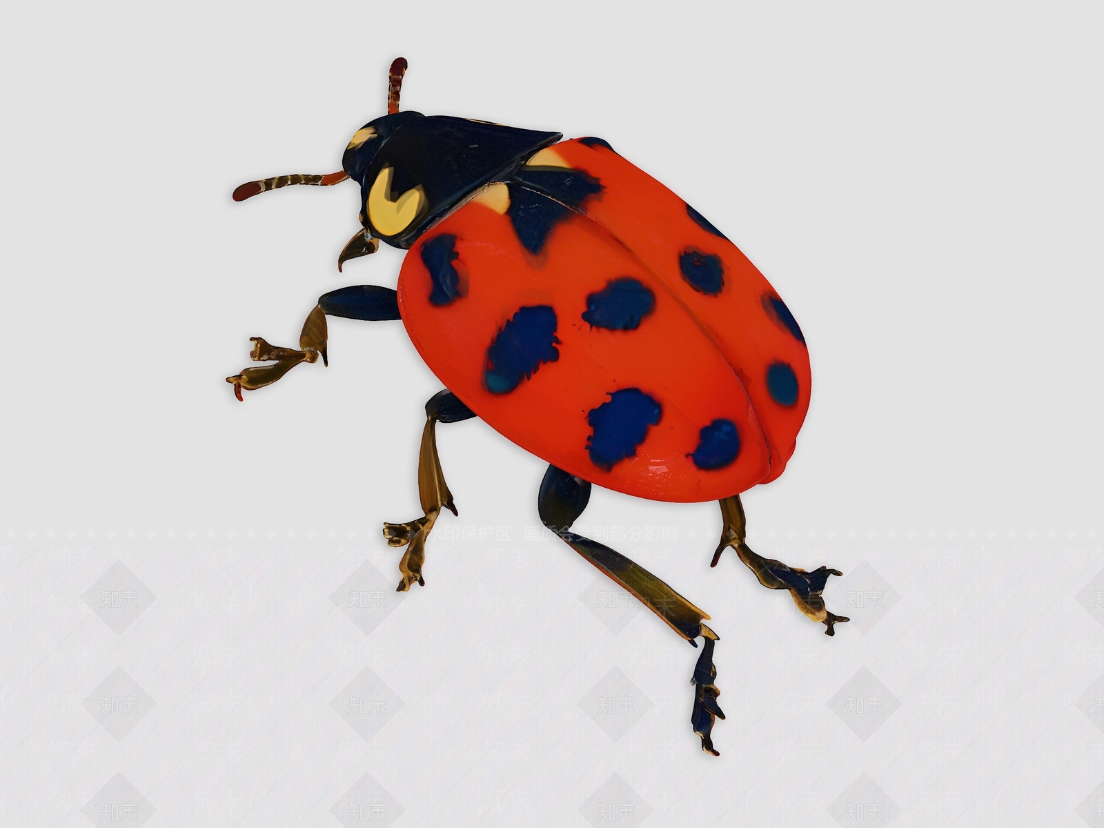 飞行类动物3D模型下载【ID:1193899055】