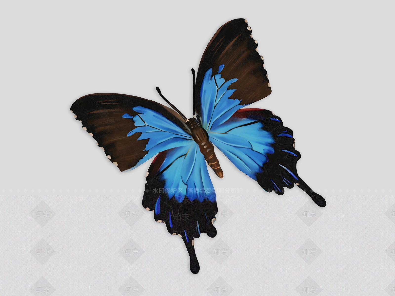 飞行类动物3D模型下载【ID:1193899268】
