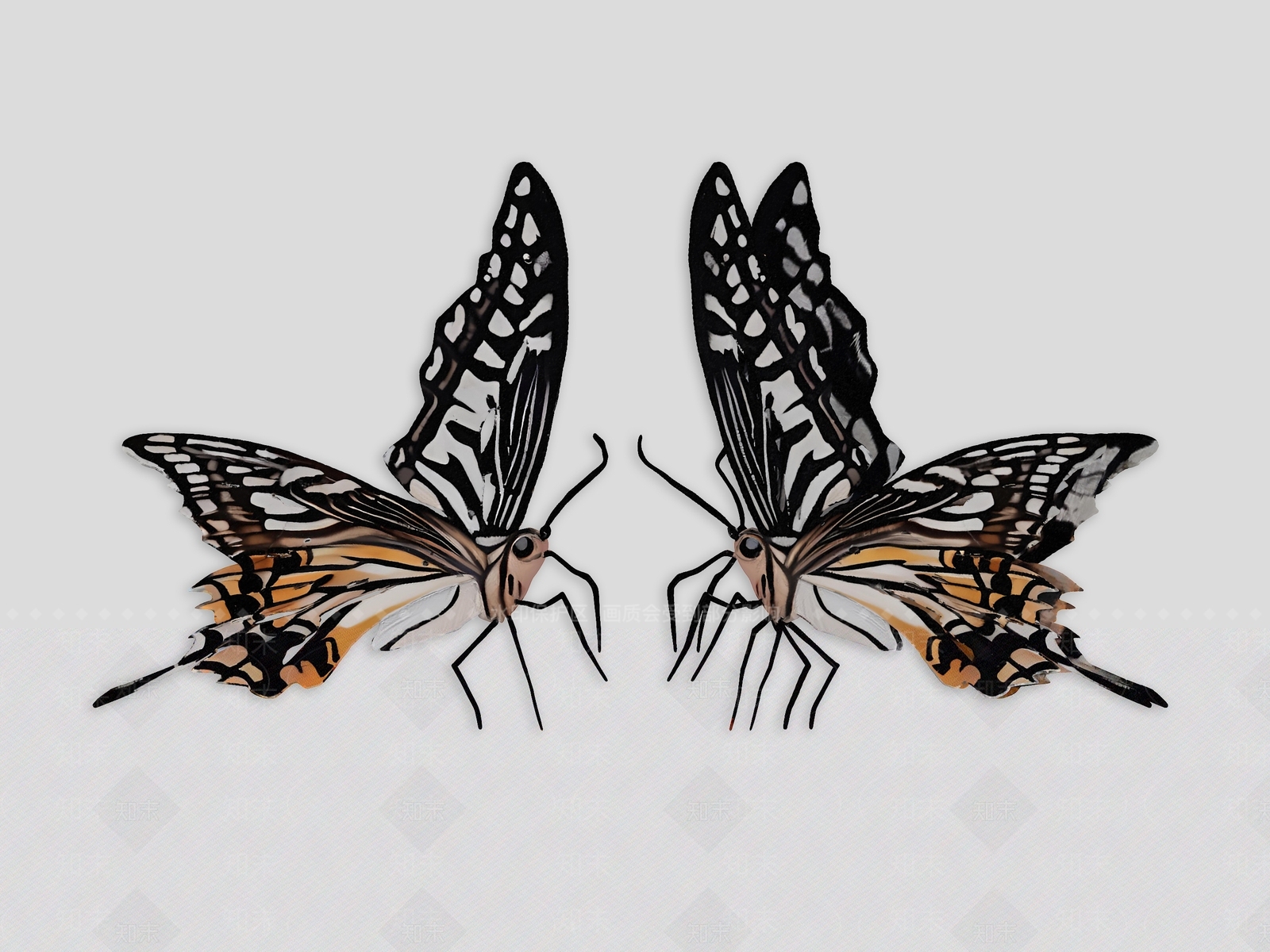 飞行类动物3D模型下载【ID:1193899444】
