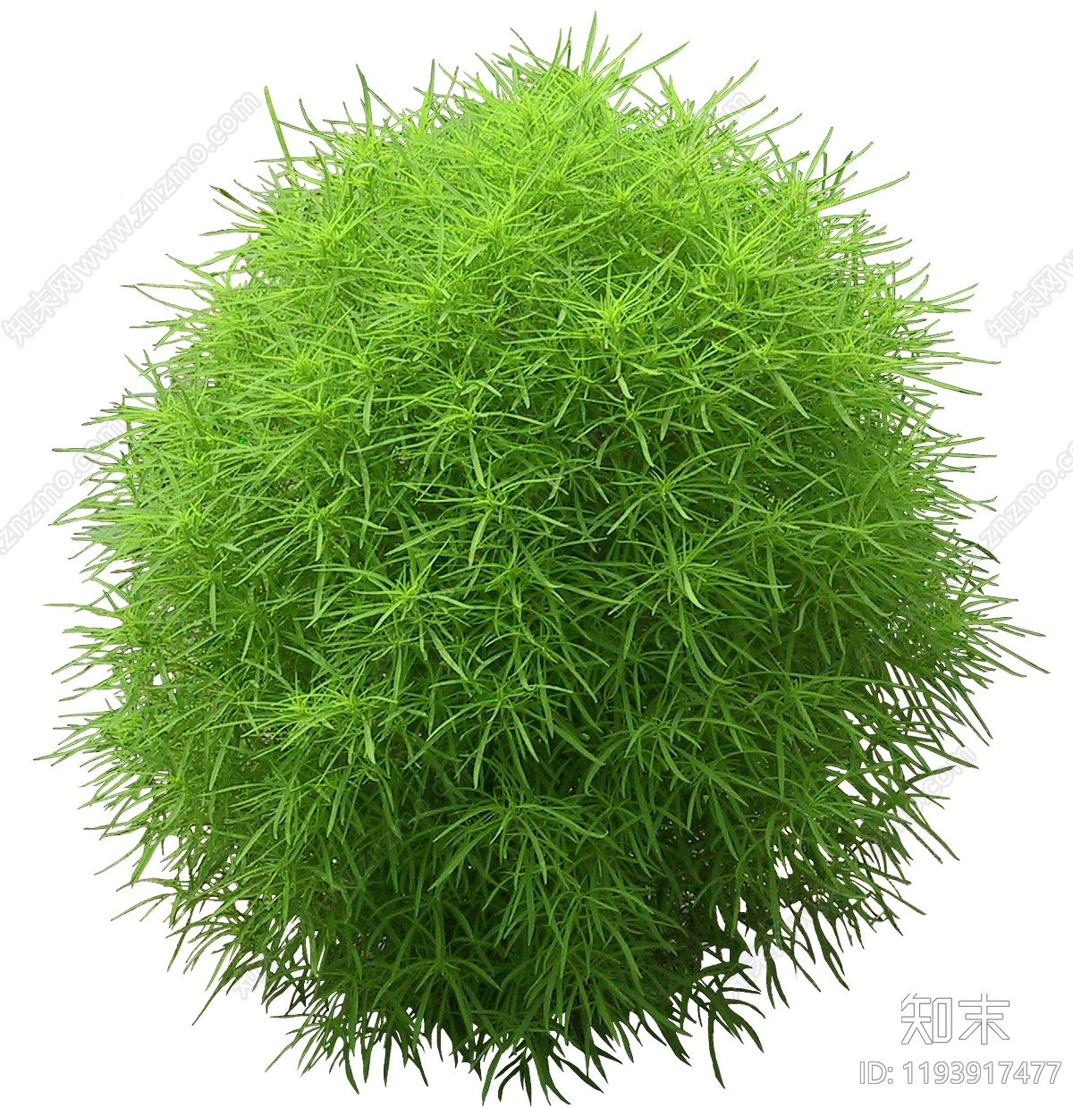 现代花卉下载【ID:1193917477】