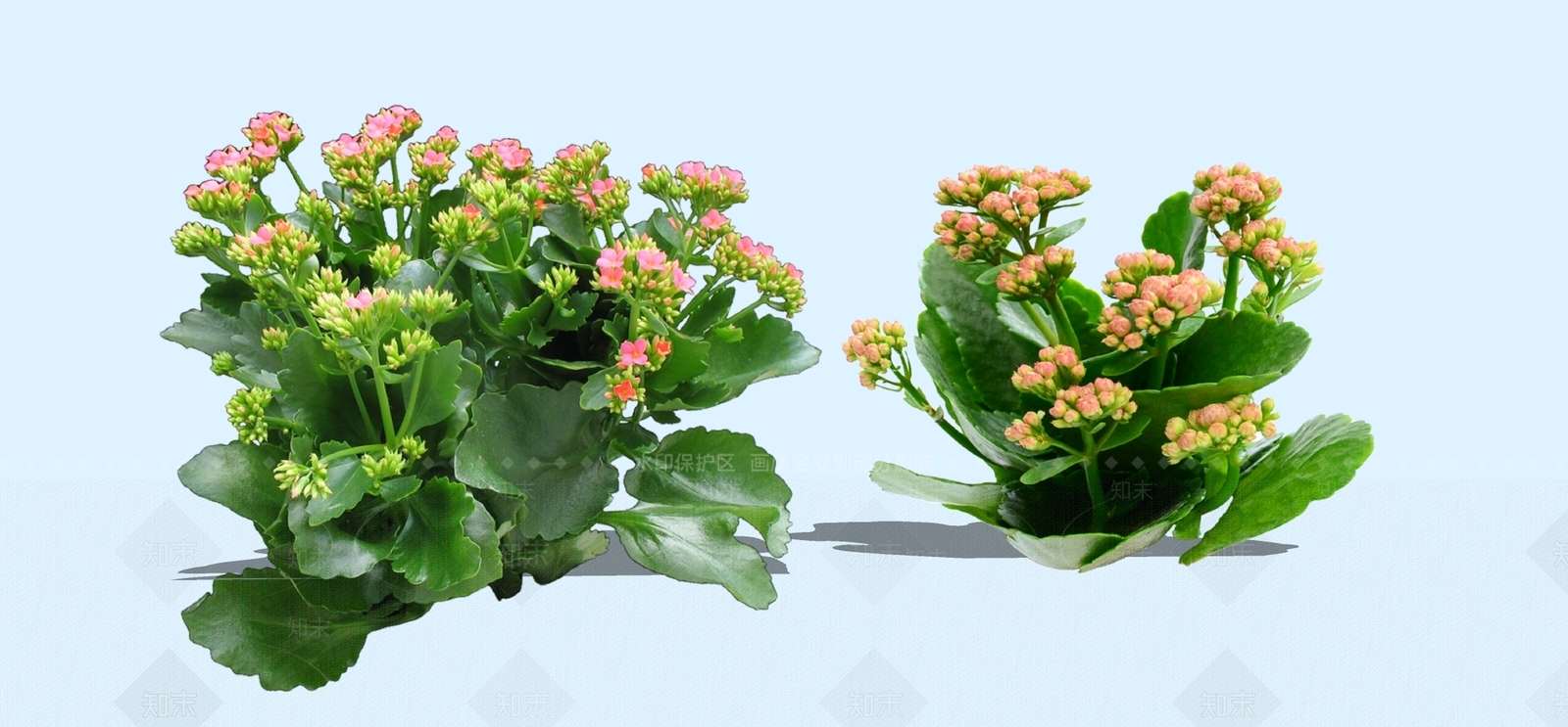 灌木SU模型下载【ID:1193952456】