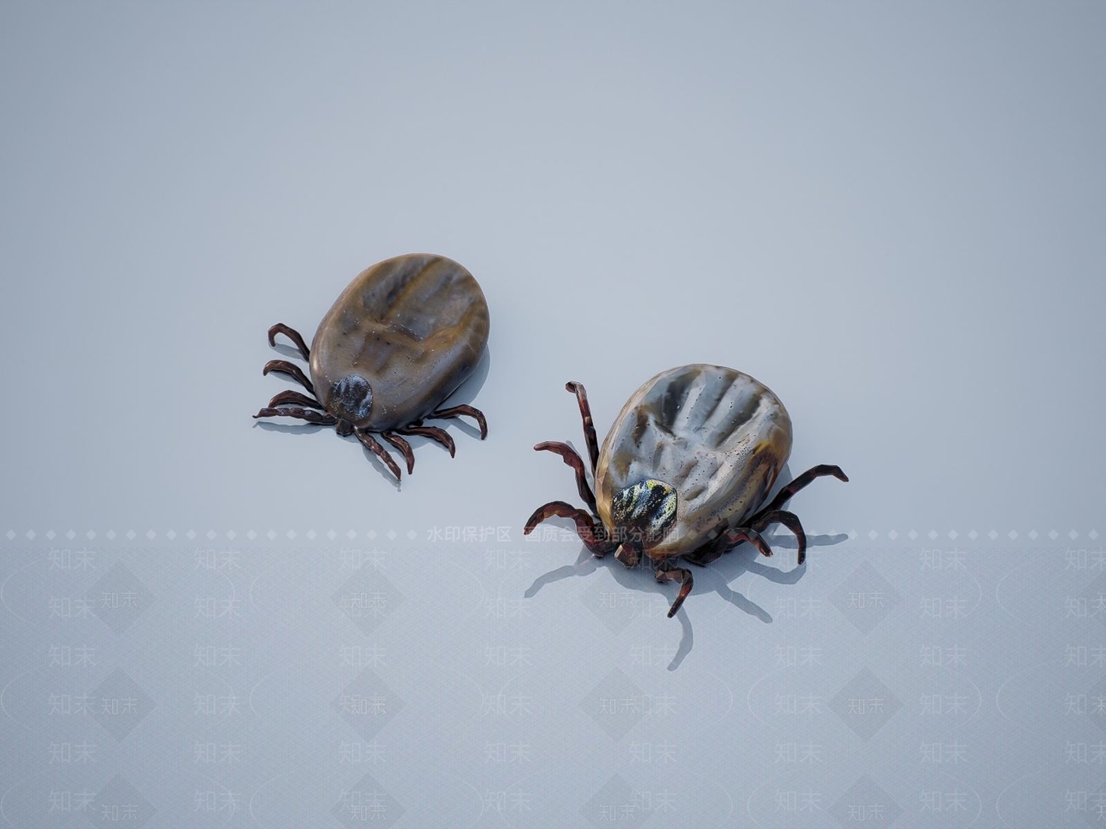 爬行动物SU模型下载【ID:1193961198】