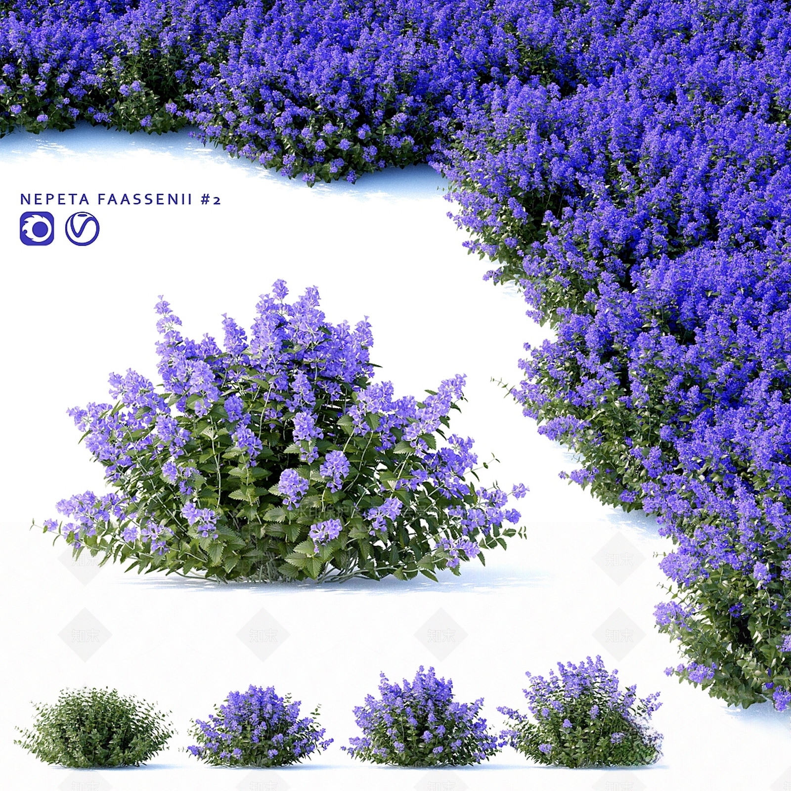 灌木3D模型下载【ID:1193994440】