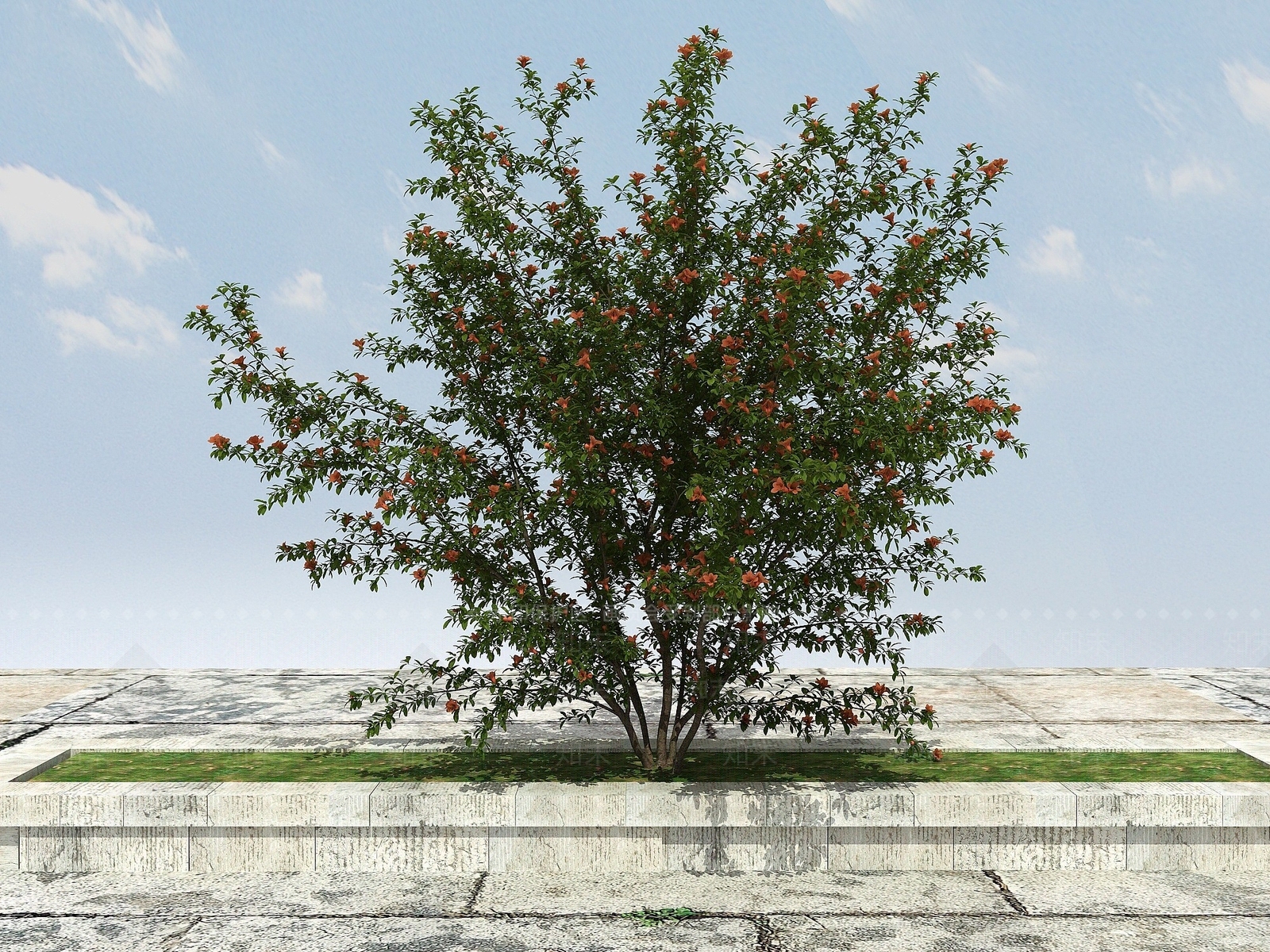 现代石榴树开花3D模型下载【ID:1194039786】