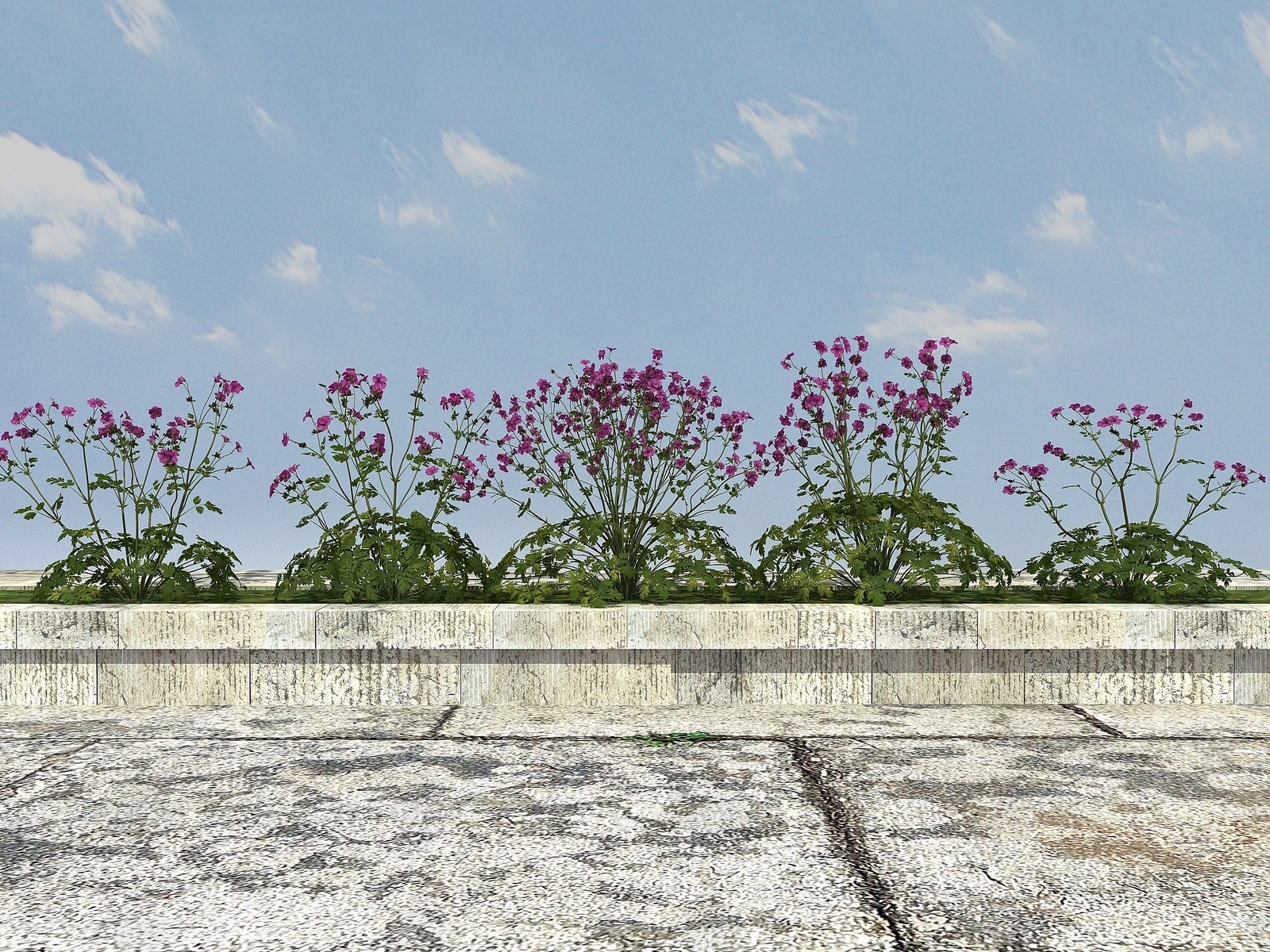 现代开花植物3D模型下载【ID:1194039852】