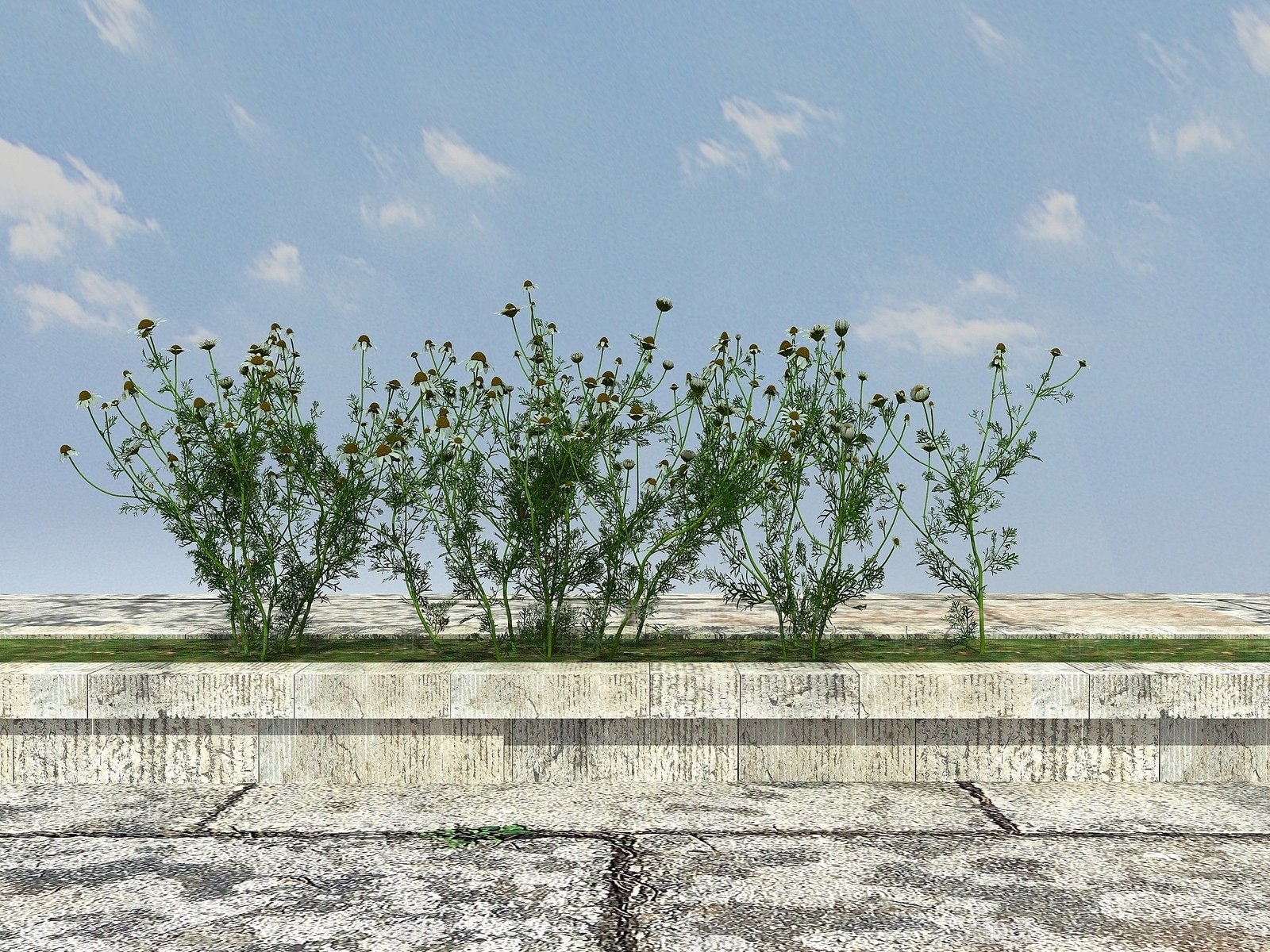 现代开花植物3D模型下载【ID:1194039906】