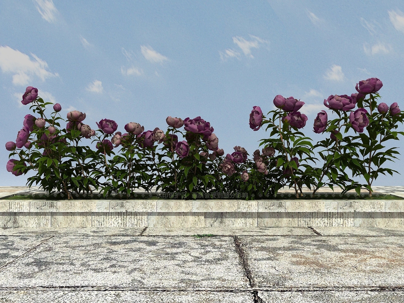 现代开花植物3D模型下载【ID:1194040324】