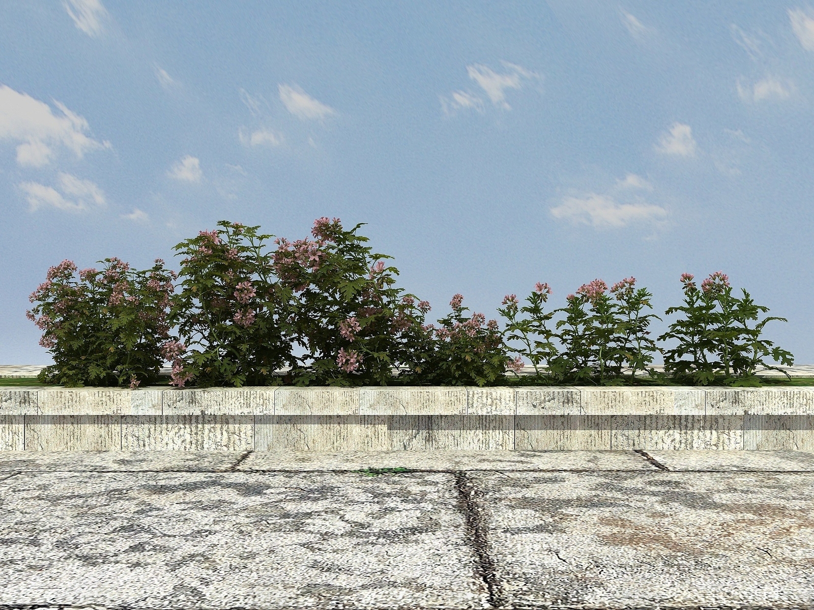 现代开花植物3D模型下载【ID:1194040464】