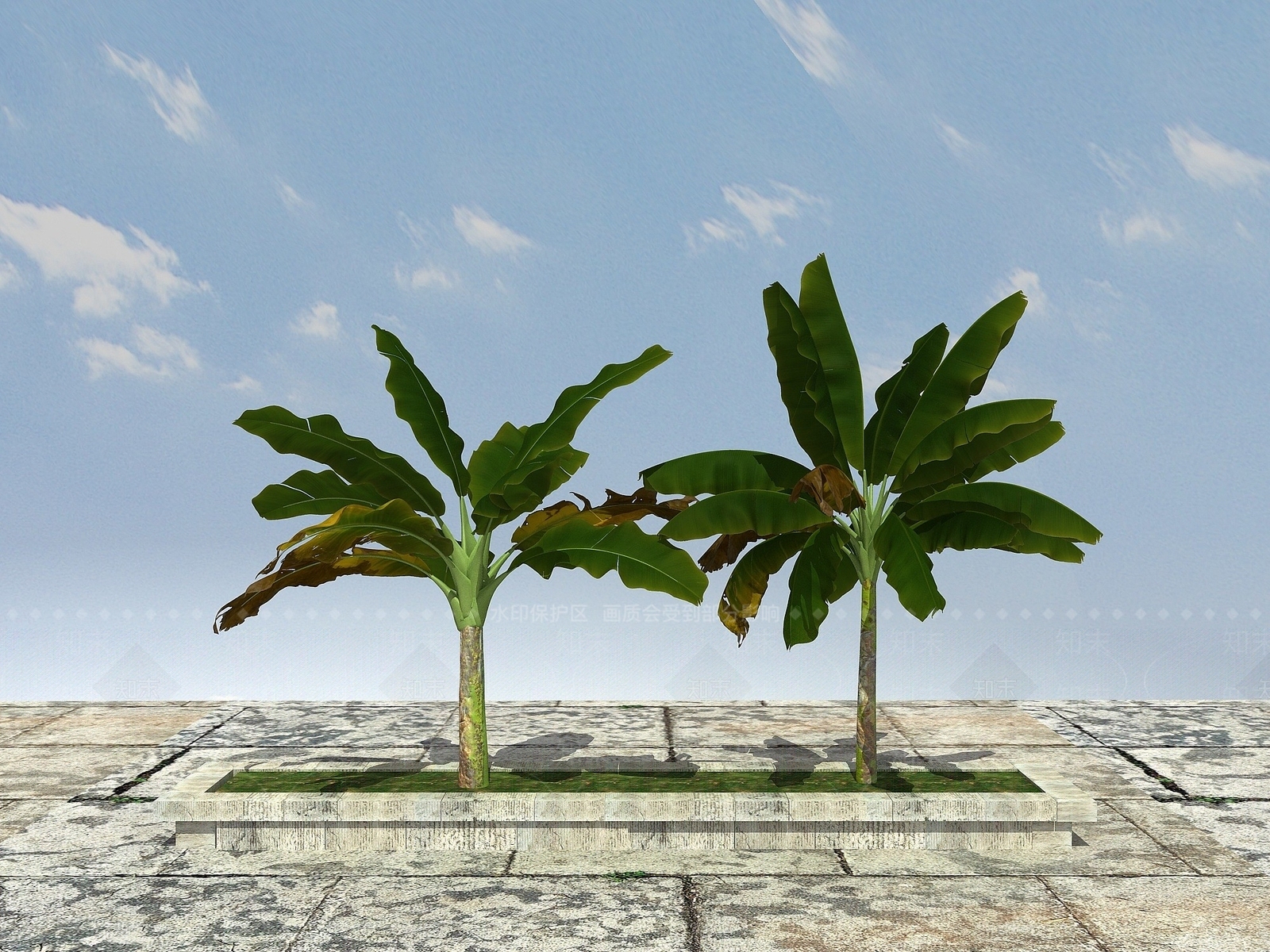 现代巴蕉树3D模型下载【ID:1194040700】