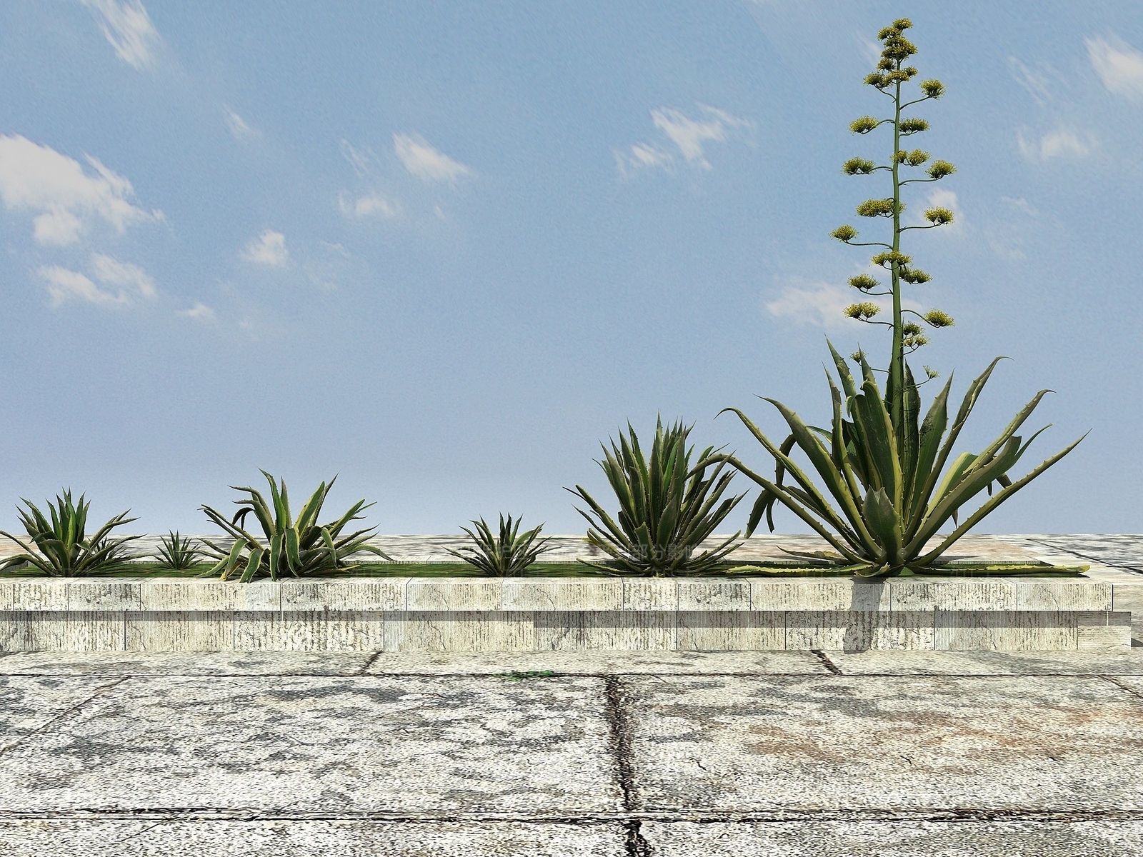 现代热带植物丝兰3D模型下载【ID:1194043592】