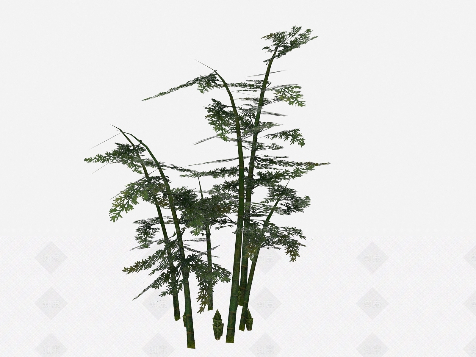 现代植物竹子树木3D模型下载【ID:1194044853】