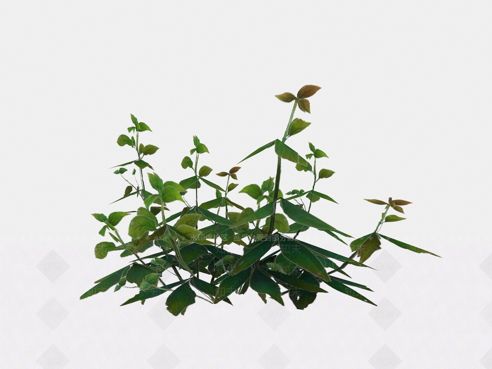 现代植物花草小花3D模型下载【ID:1194045216】