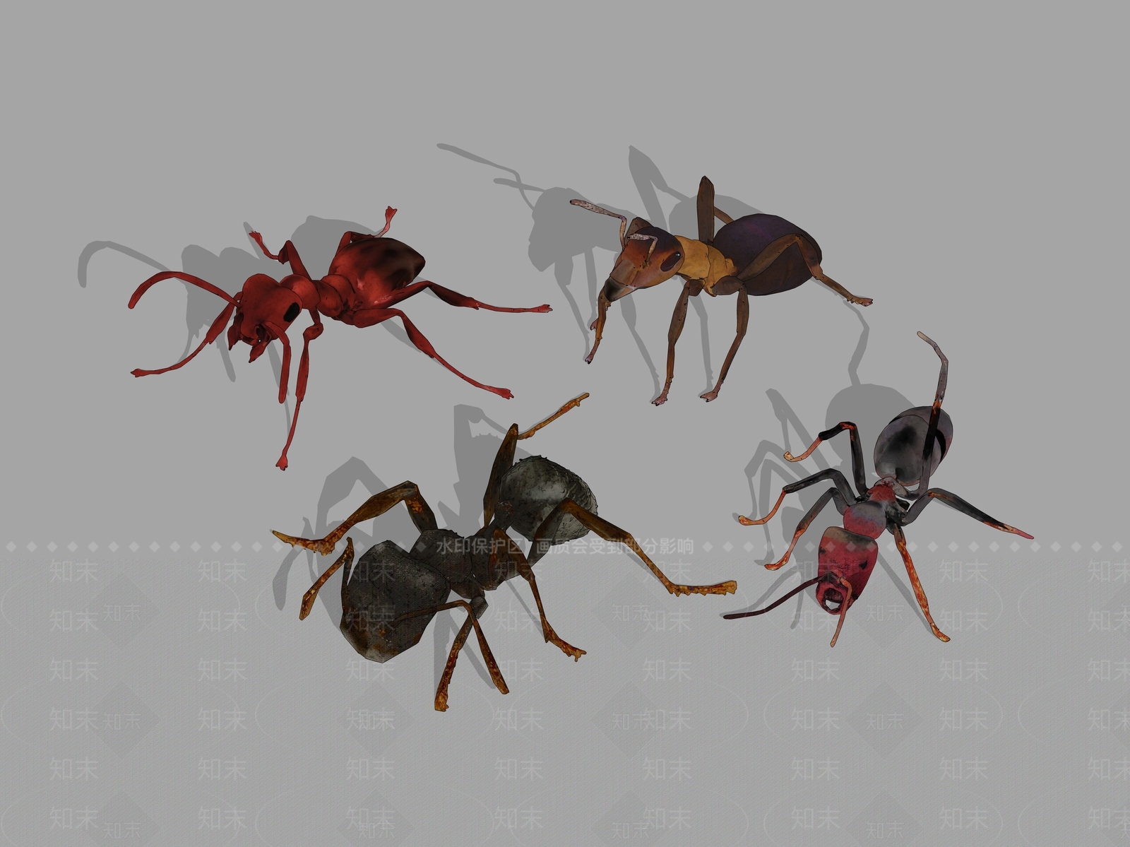 爬行动物SU模型下载【ID:1194051247】