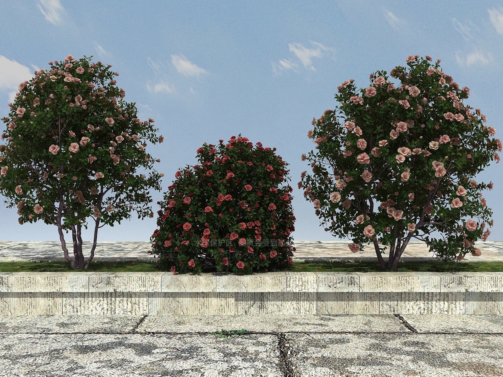 现代景观开花植物3D模型下载【ID:1194052272】