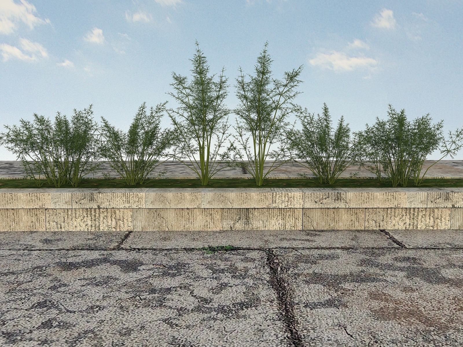 现代疏菜类植物3D模型下载【ID:1194052342】