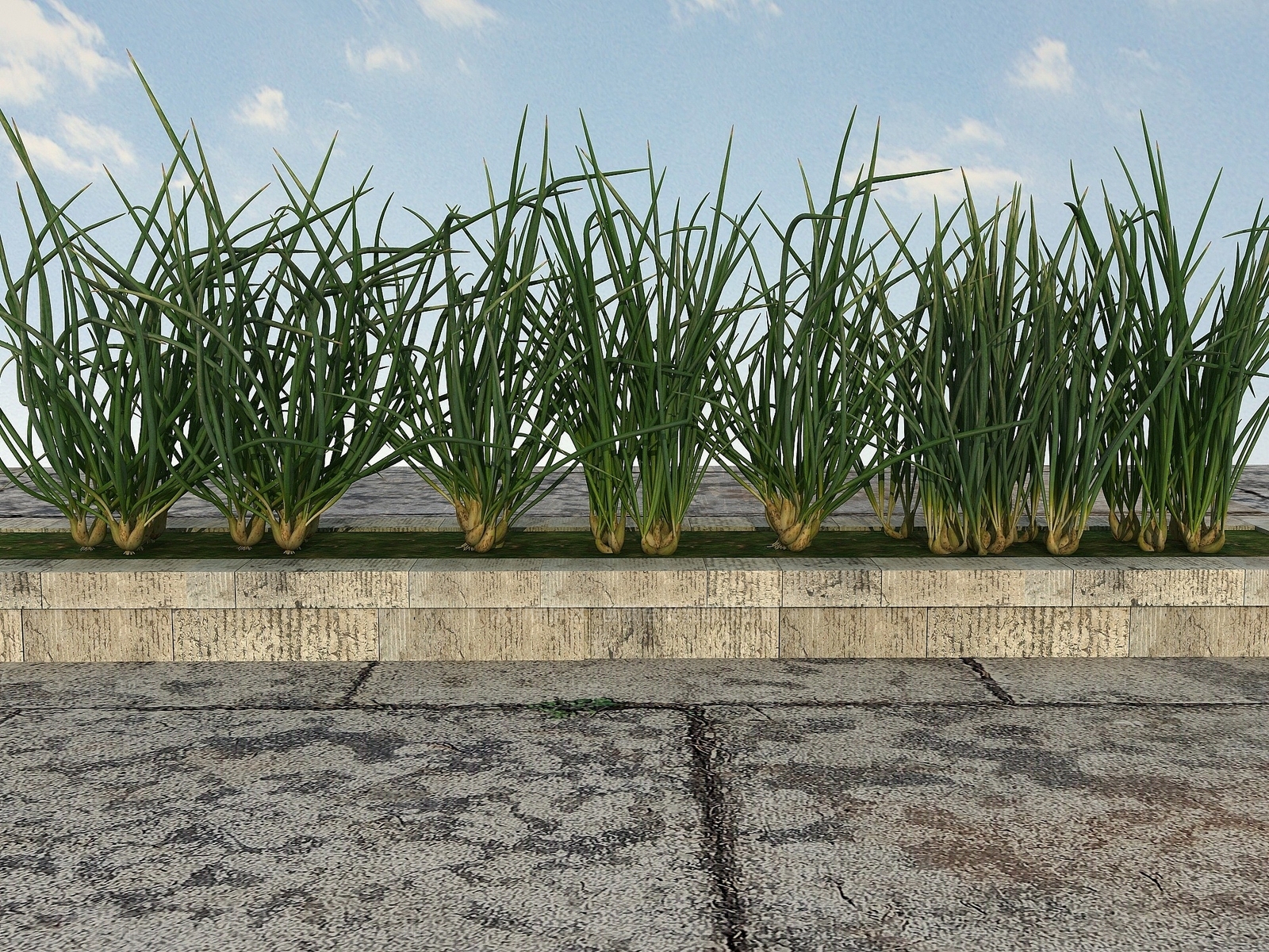 现代疏菜类植物3D模型下载【ID:1194052344】