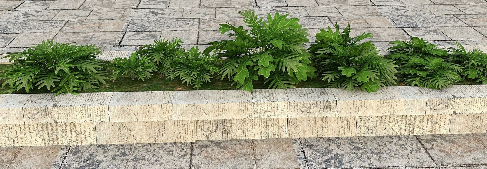 现代花草景观植物3D模型下载【ID:1194052840】