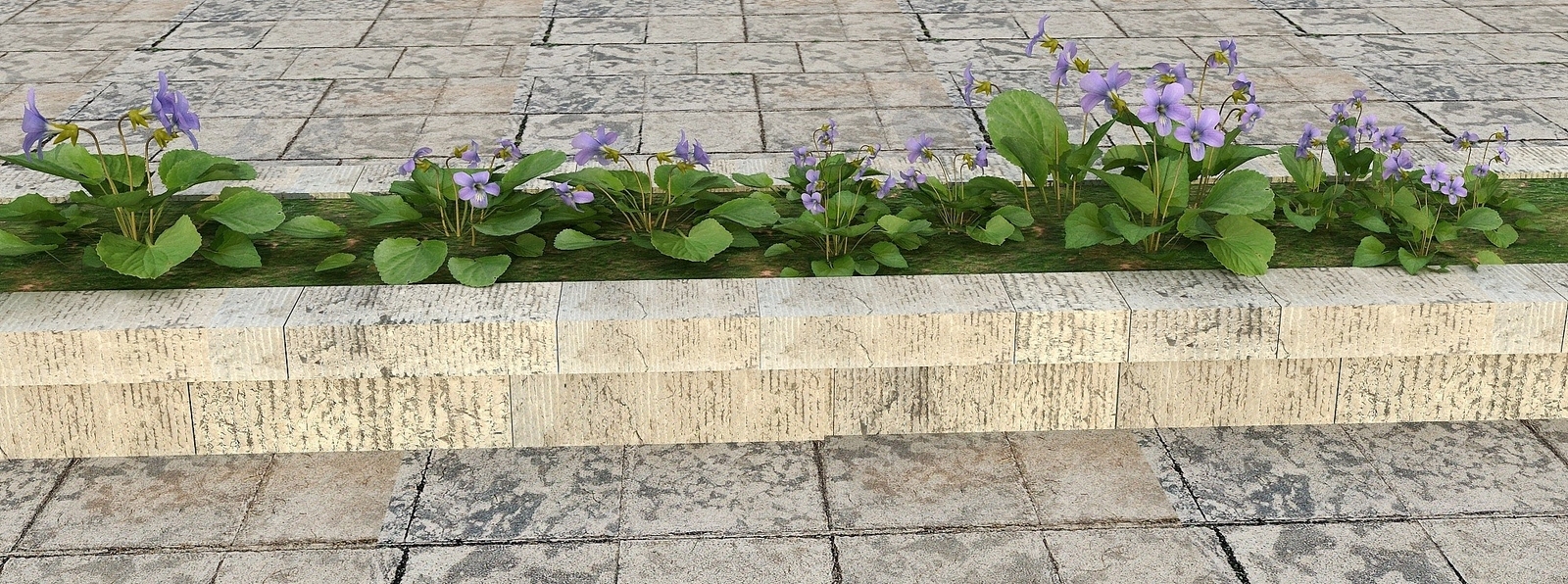 现代花草景观植物3D模型下载【ID:1194053285】