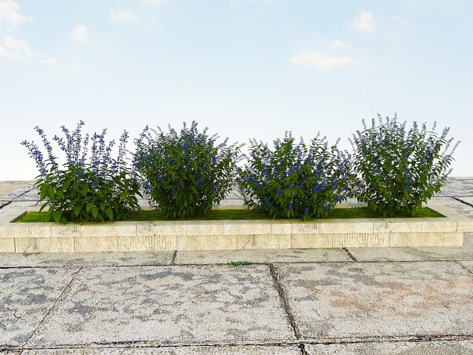 现代景观开花植物3D模型下载【ID:1194056668】