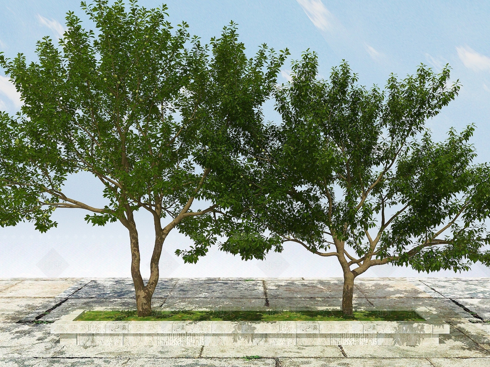 现代果树植物3D模型下载【ID:1194065814】