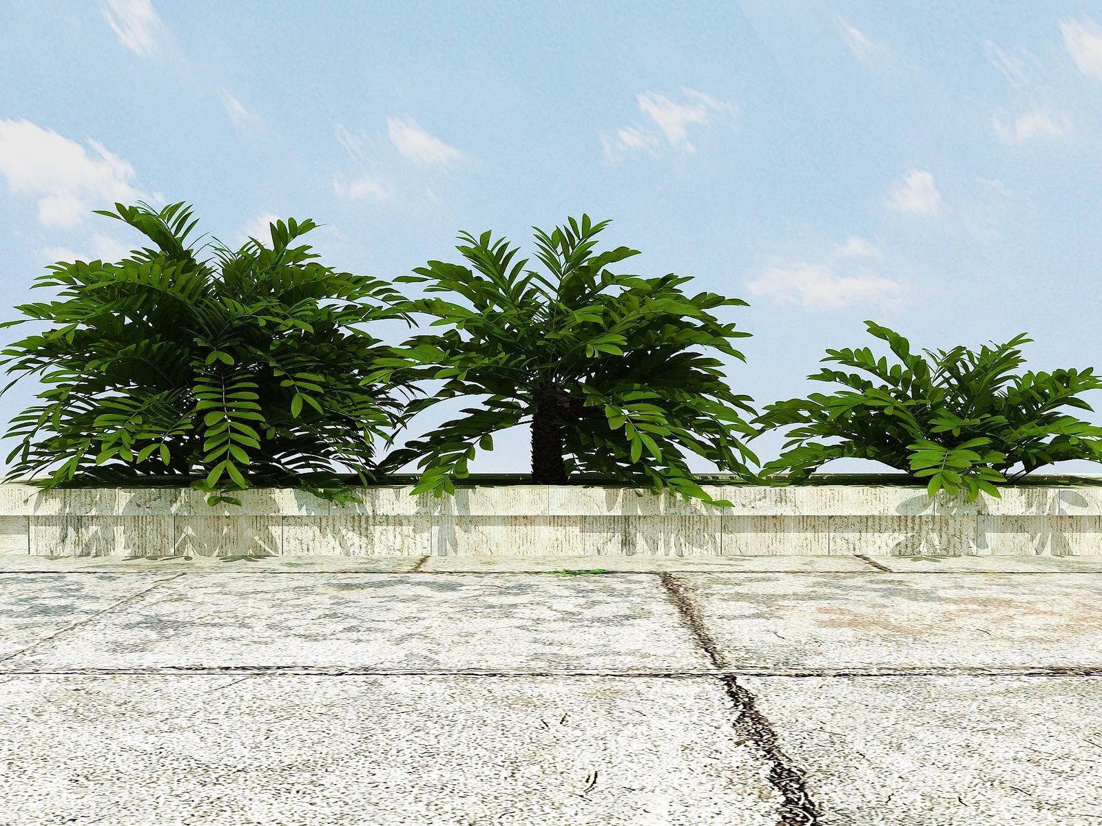 现代景观植物3D模型下载【ID:1194068420】