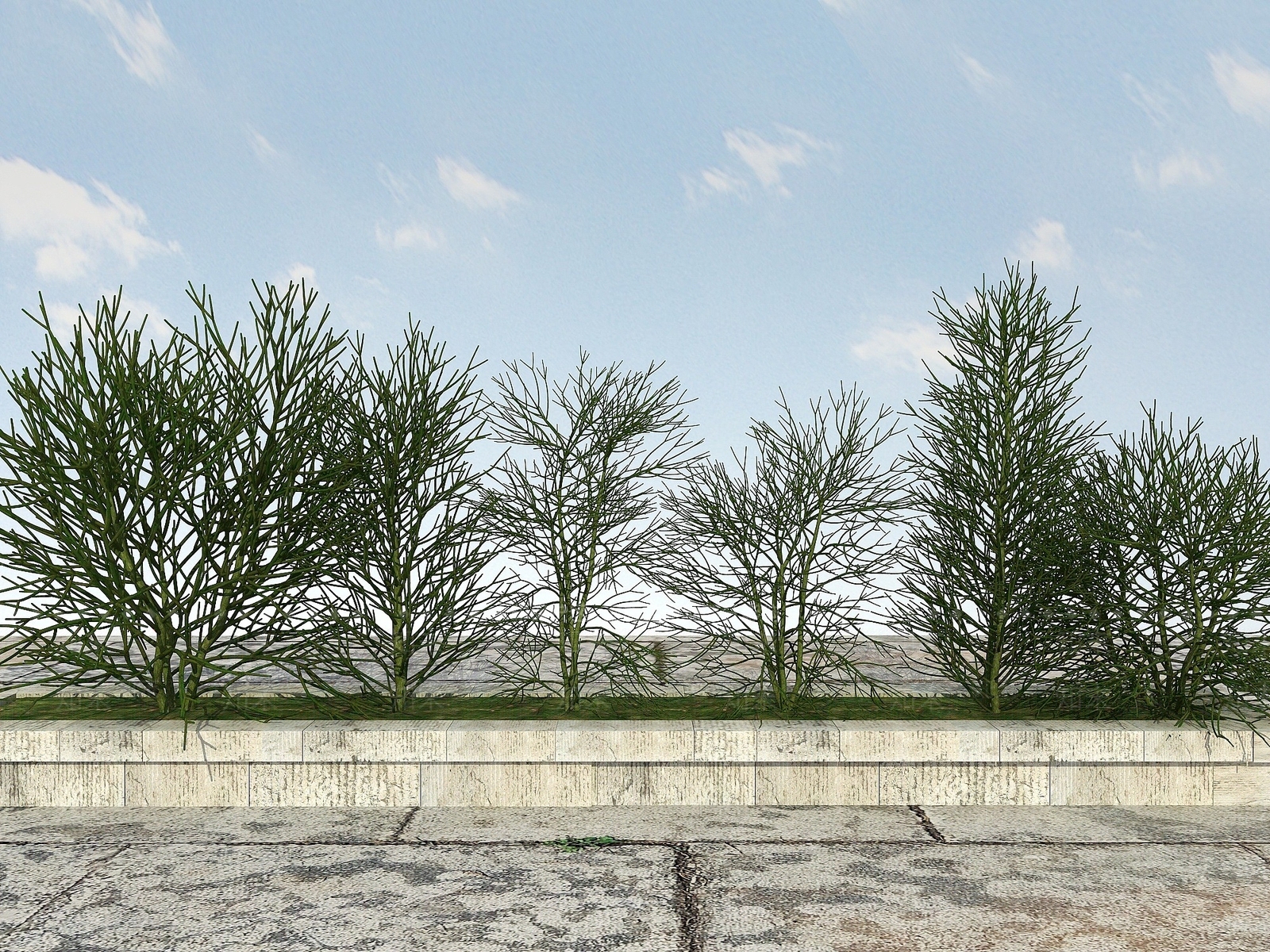 现代景观植物3D模型下载【ID:1194068464】