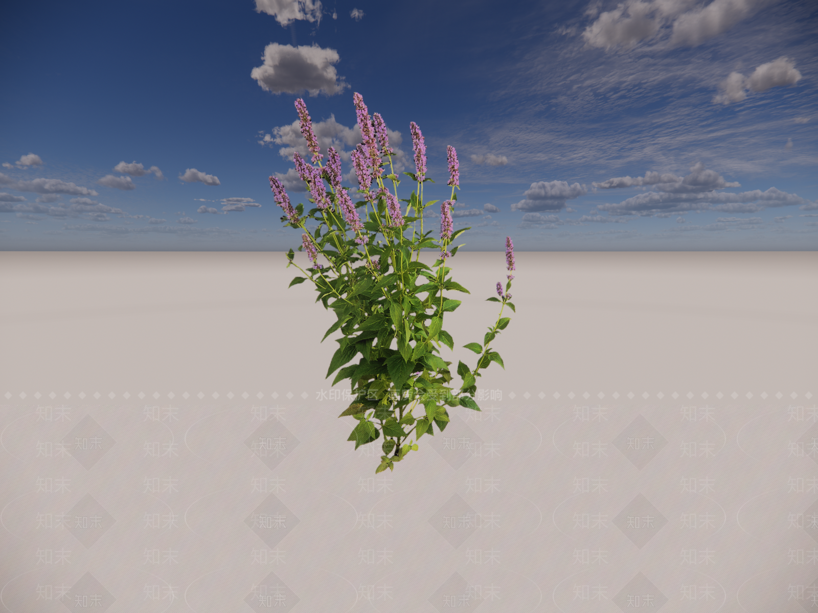 花草SU模型下载【ID:1194073084】